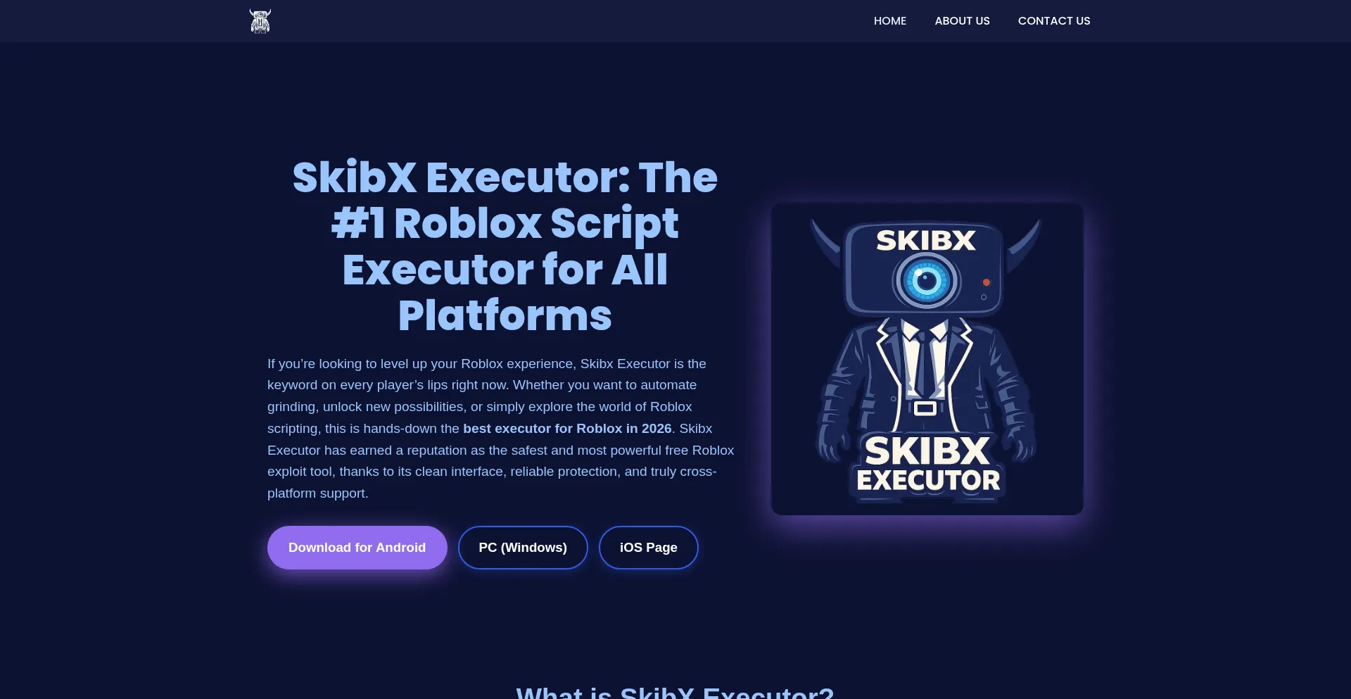Skibxexecutor.com