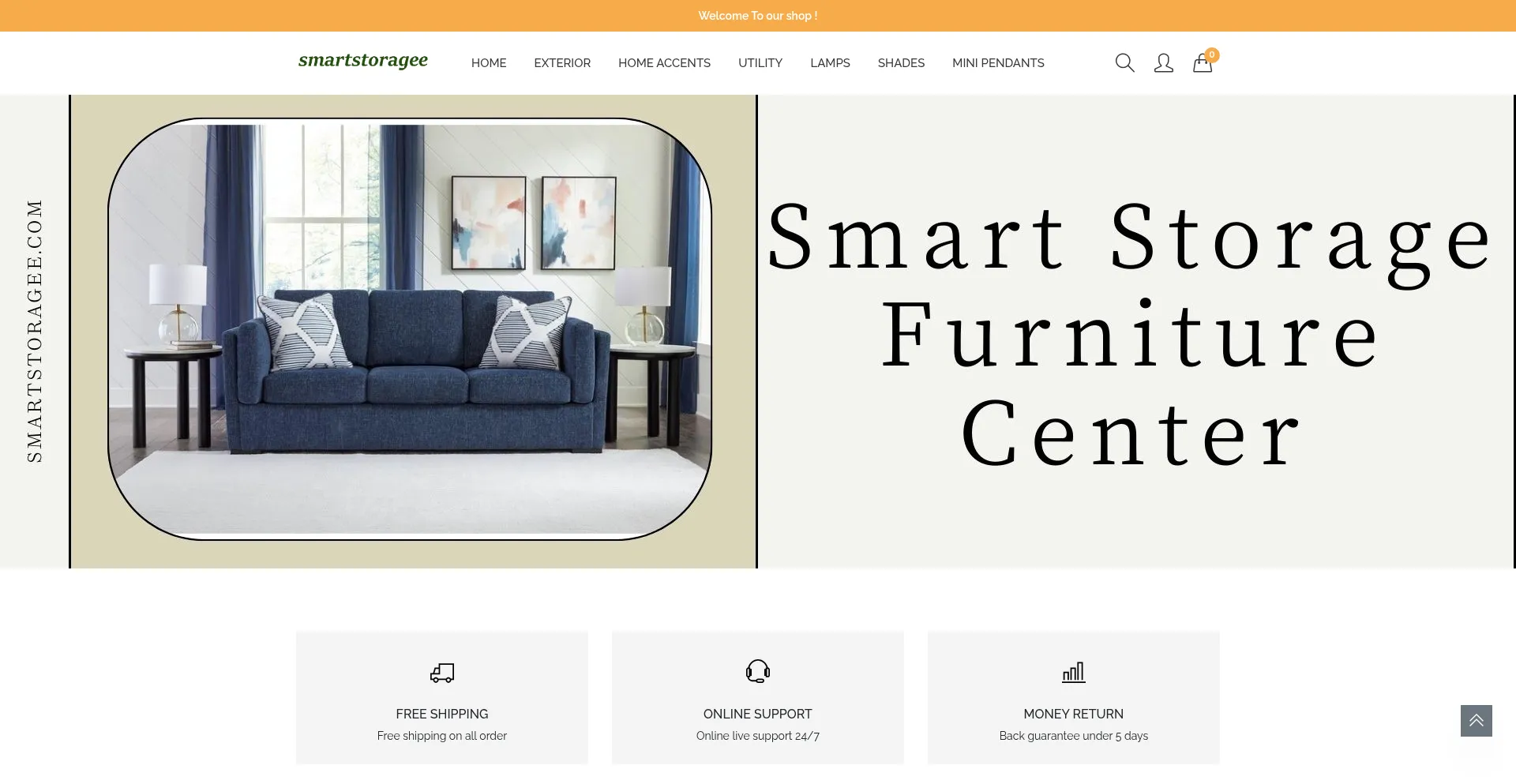 Smartstoragee.com
