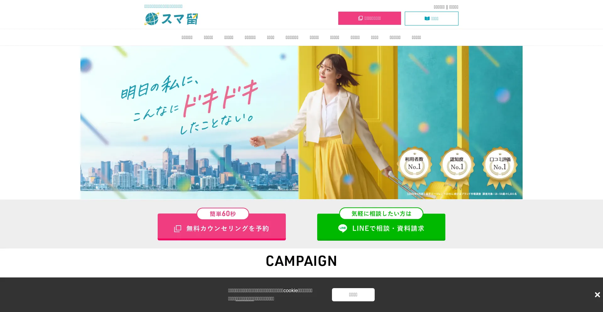 Website screenshot of Smaryu.com
