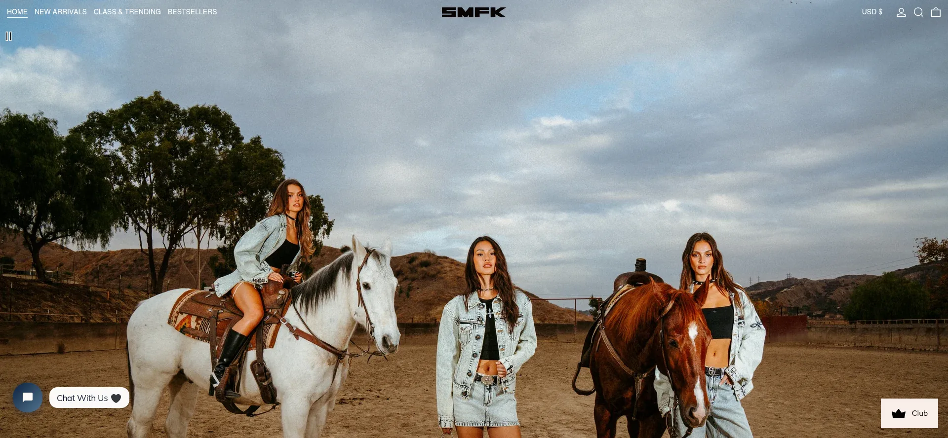 Website screenshot of Smfk-official.com