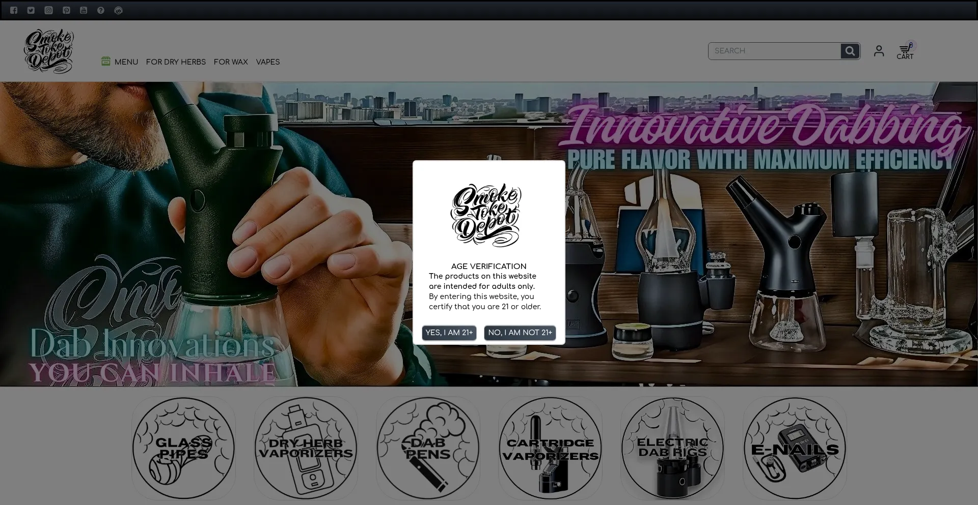 Website screenshot of Smoketokedepot.com