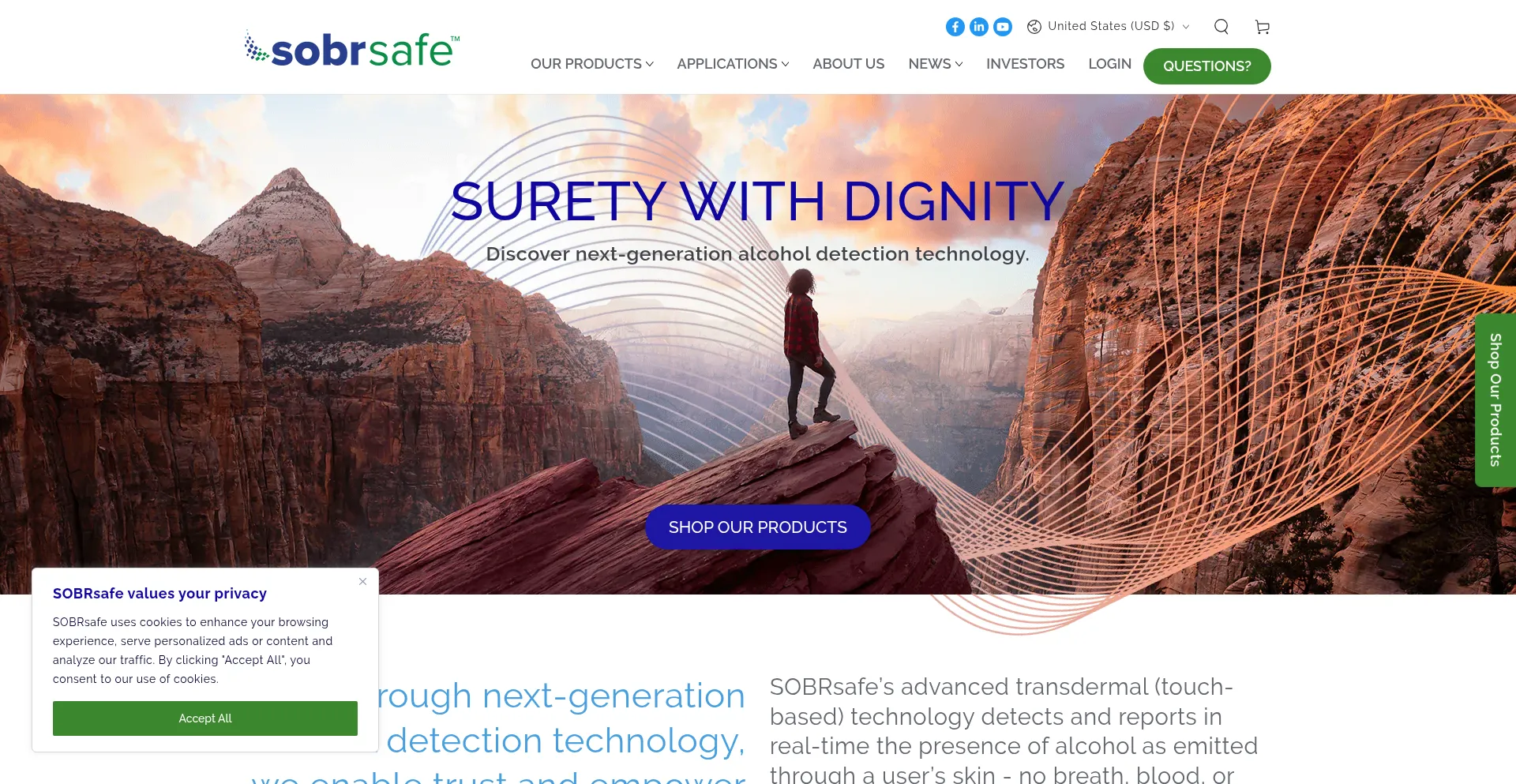 Website screenshot of Sobrsafe.com