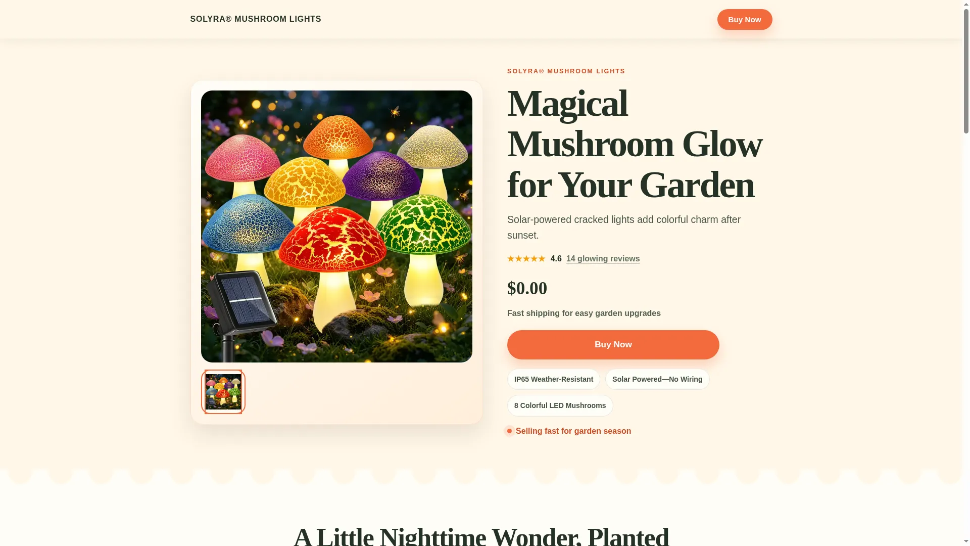 Solyramushroomlights.com