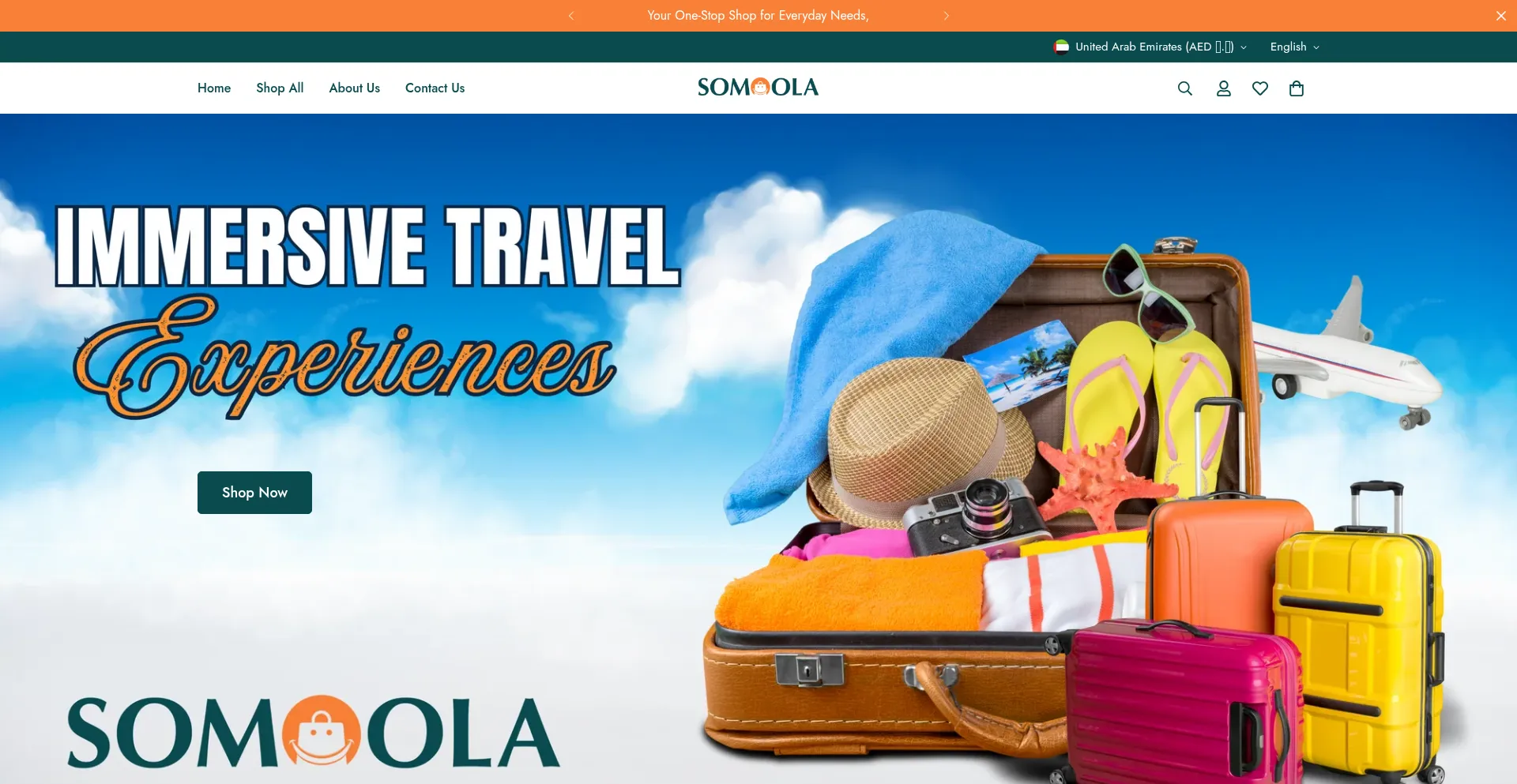 Website screenshot of Somoola.com