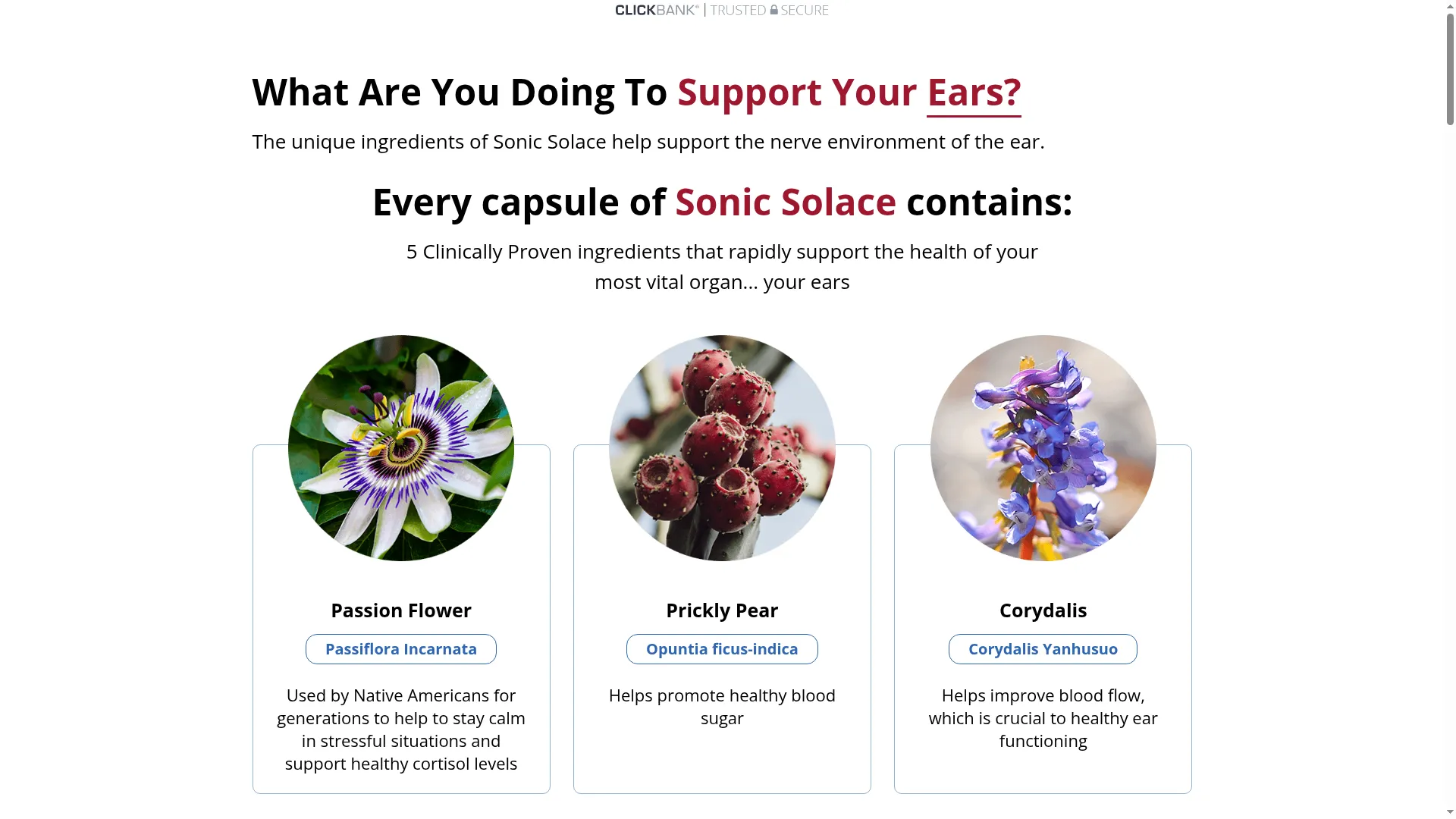 Sonicsolace.com