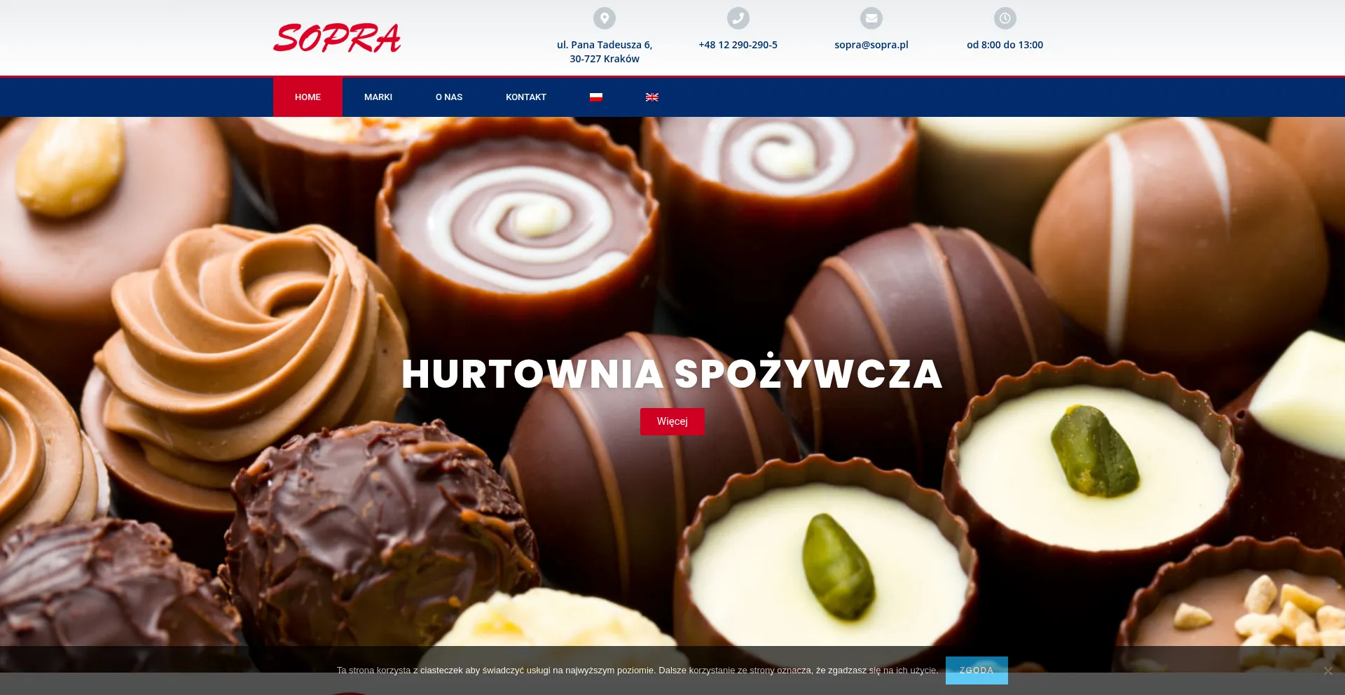 Website screenshot of Sopra.pl