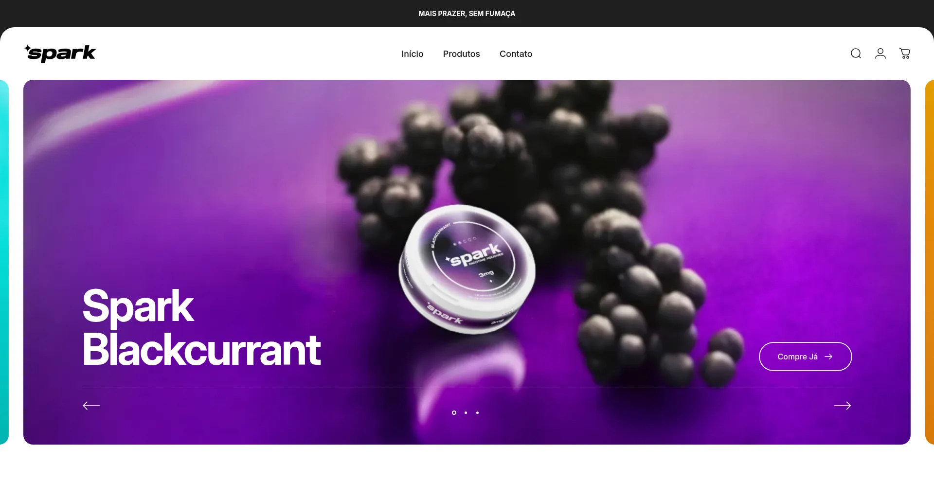 Website screenshot of Sparkpouches.com.br