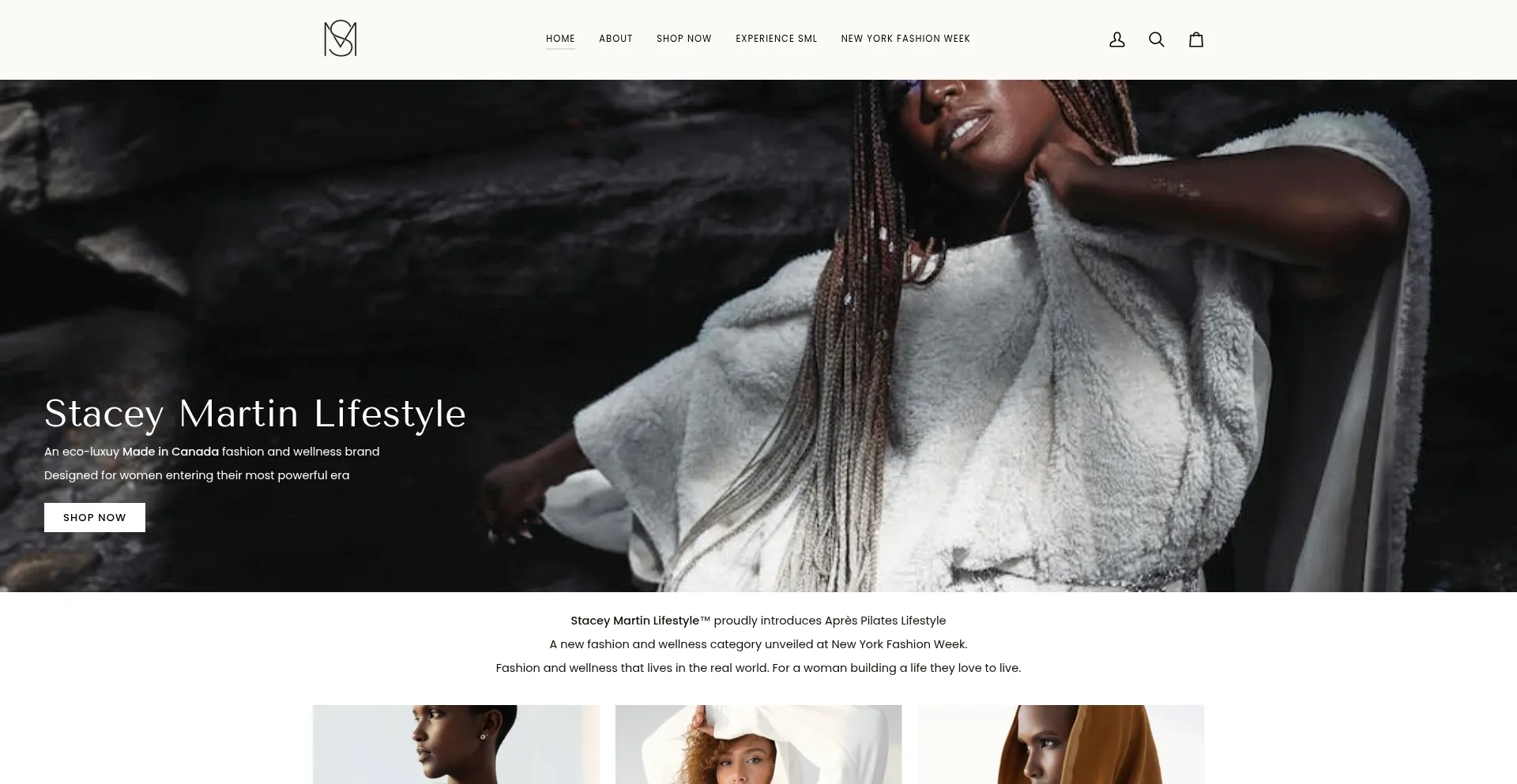 Staceymartinlifestyle.com