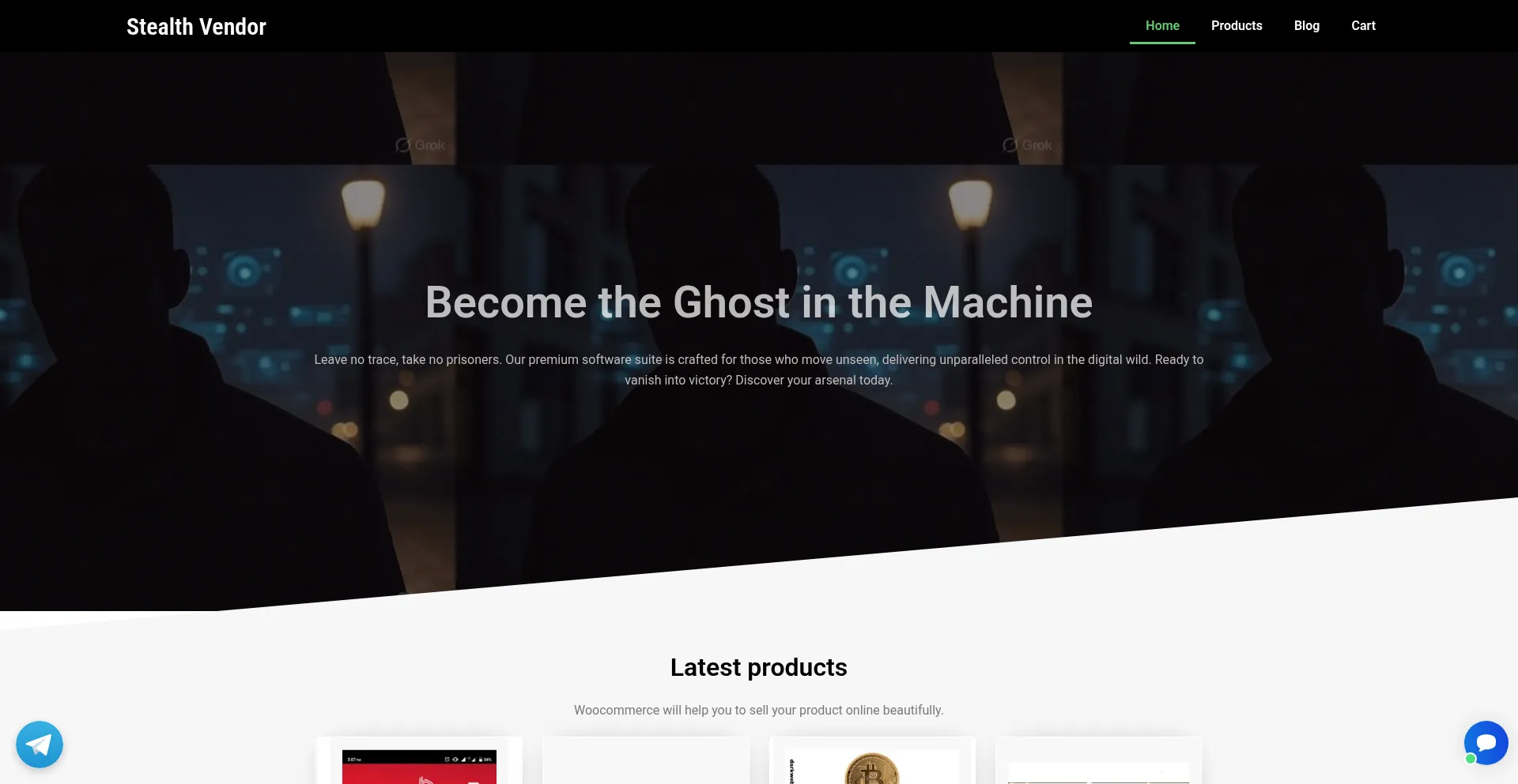 Ist Stealthvendor.com sicher und vertrauenswürdig?