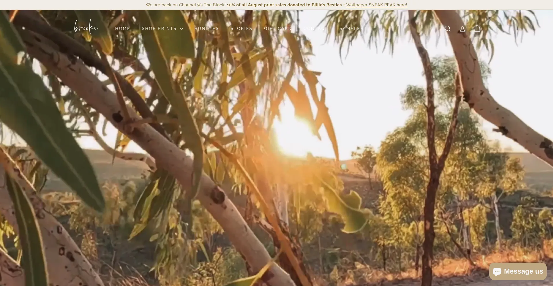Website screenshot of Stephbrookestudio.com
