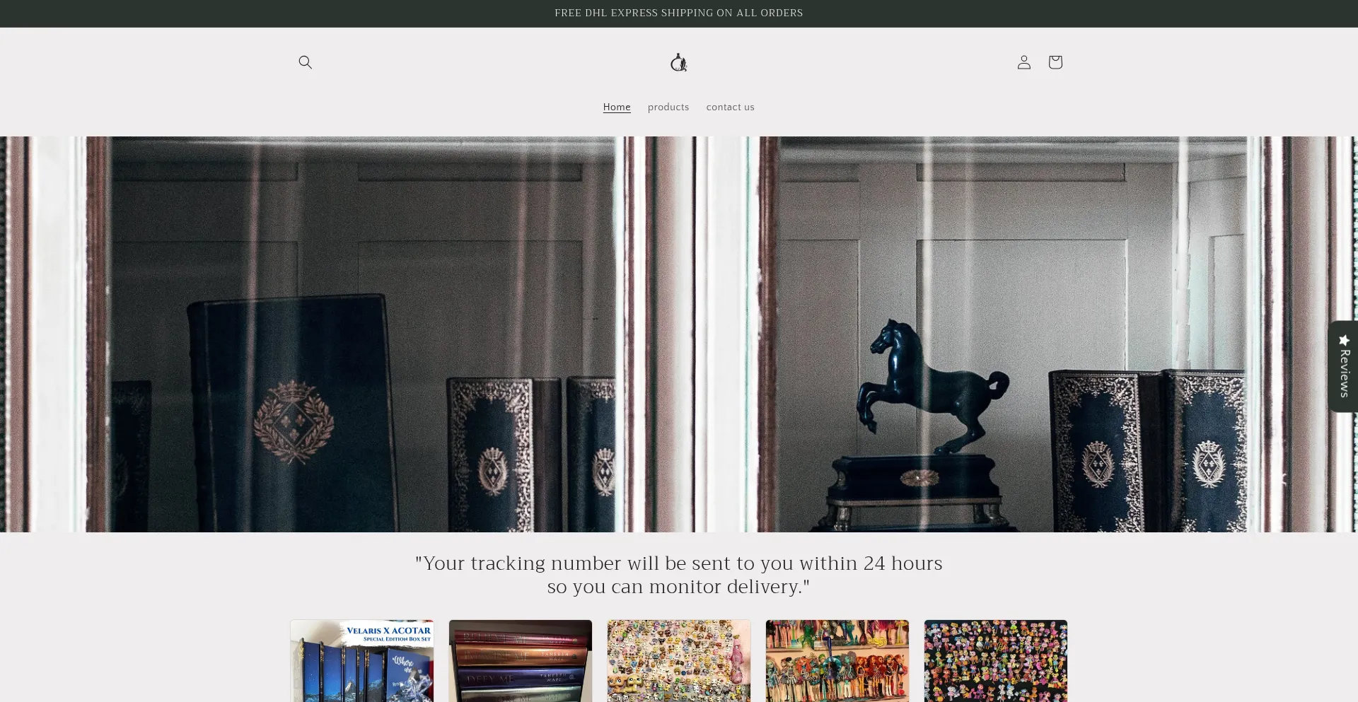 Website screenshot of Storyrelics.shop