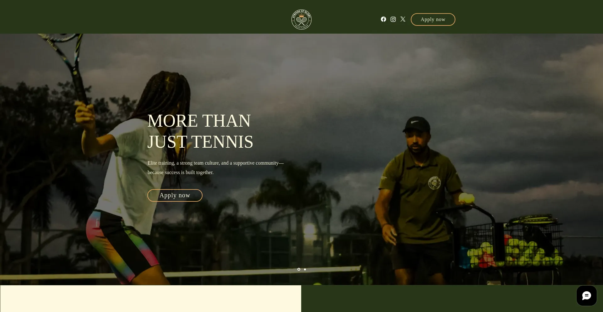 Website screenshot of Stringsofglory.com
