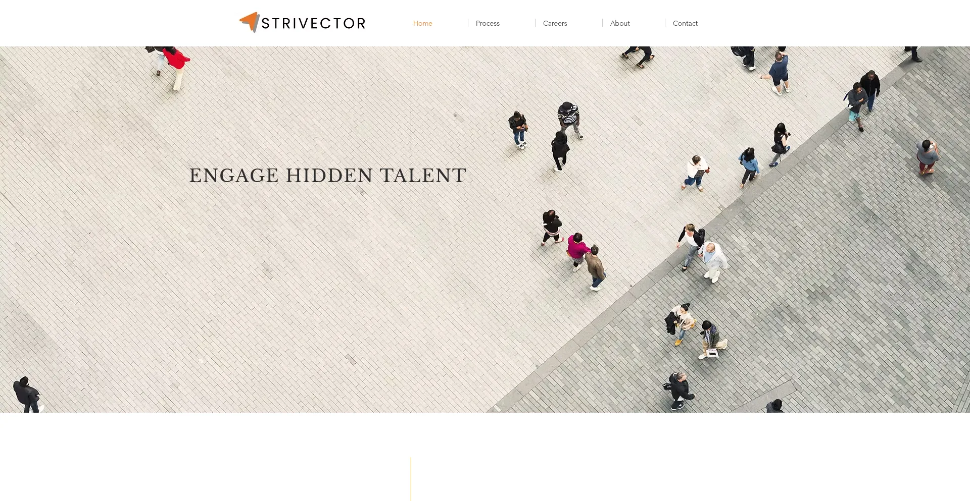 Website screenshot of Strivector.com