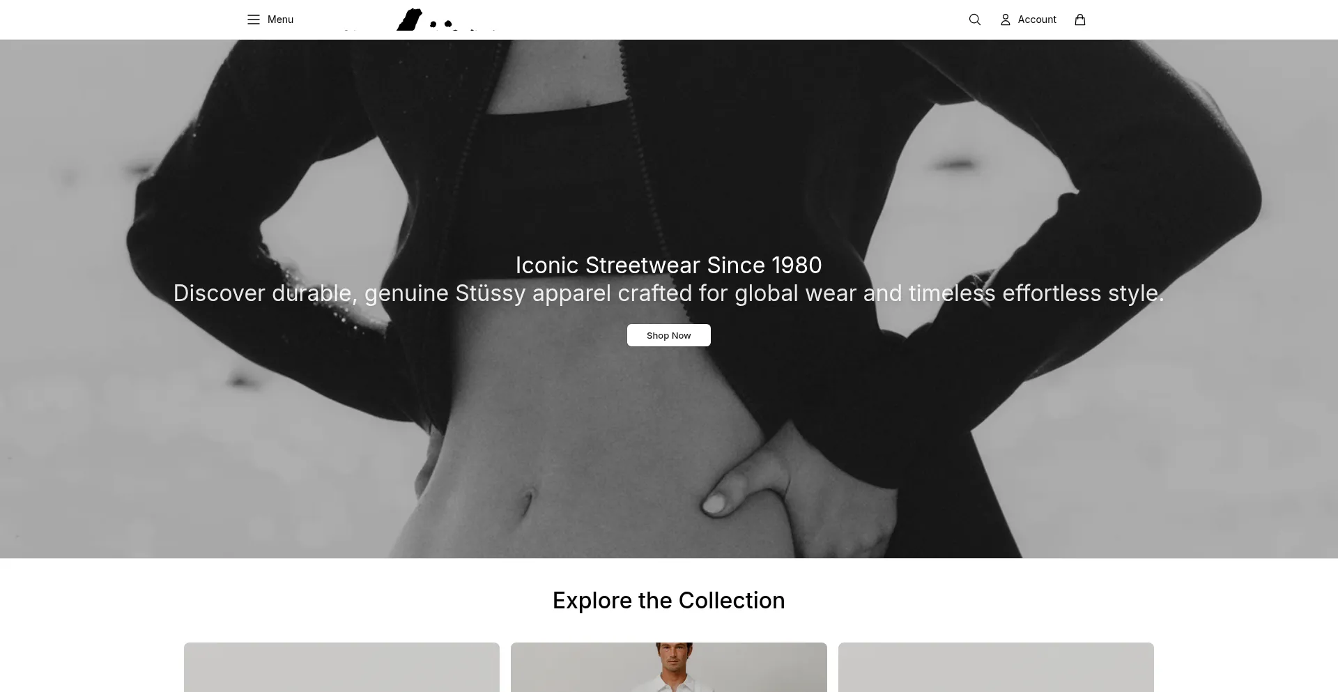 Stussyeurope.shop