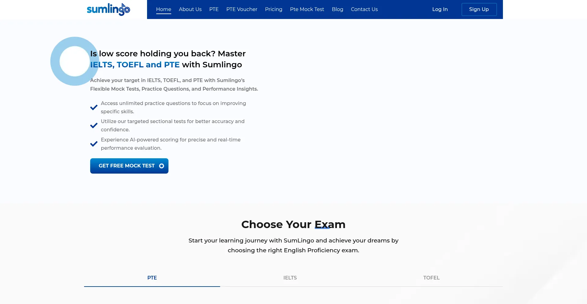 Website screenshot of Sumlingo.com