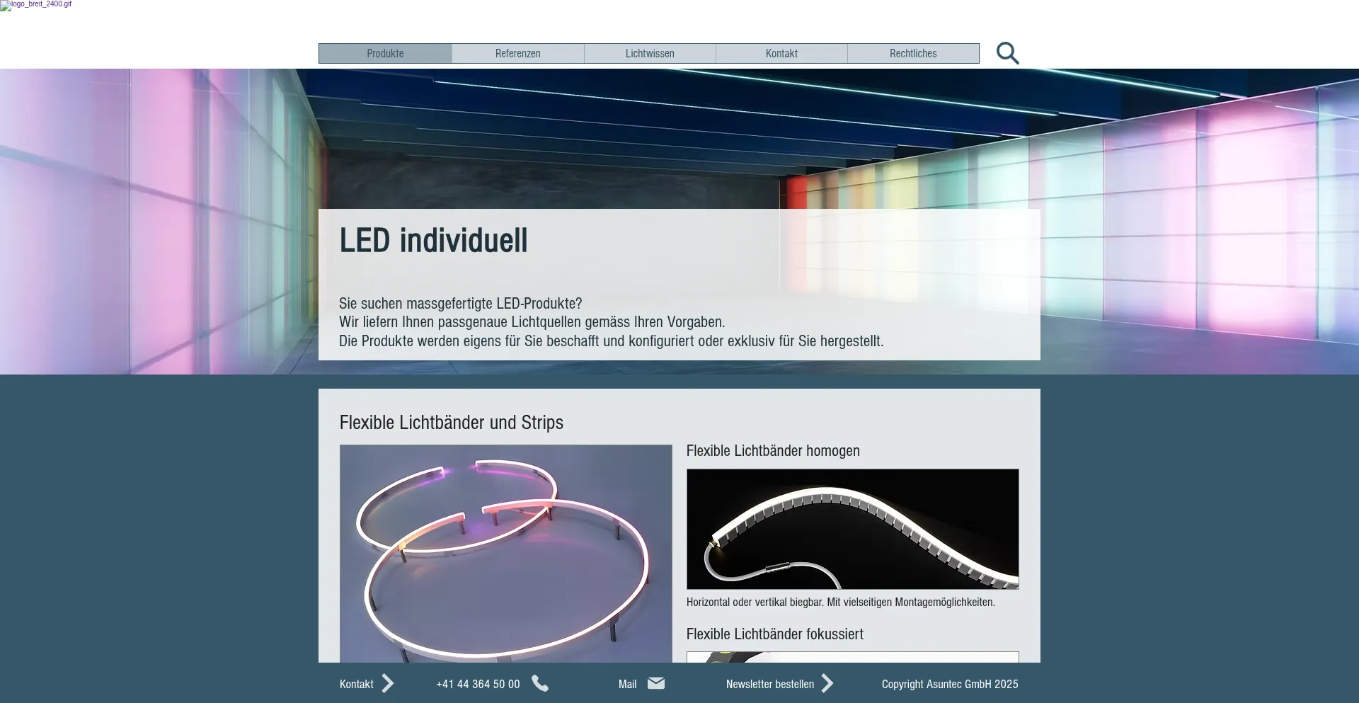 Website screenshot of Swisslights.com