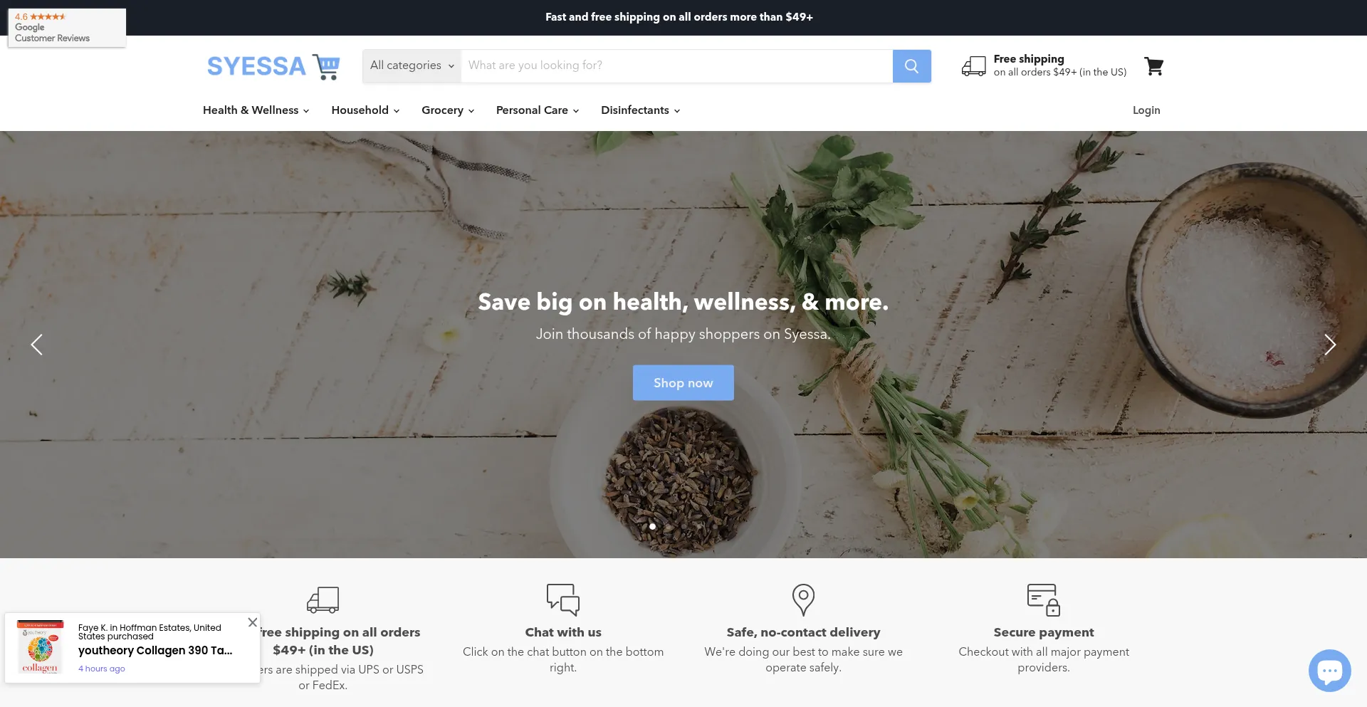 Website screenshot of Syessa.com