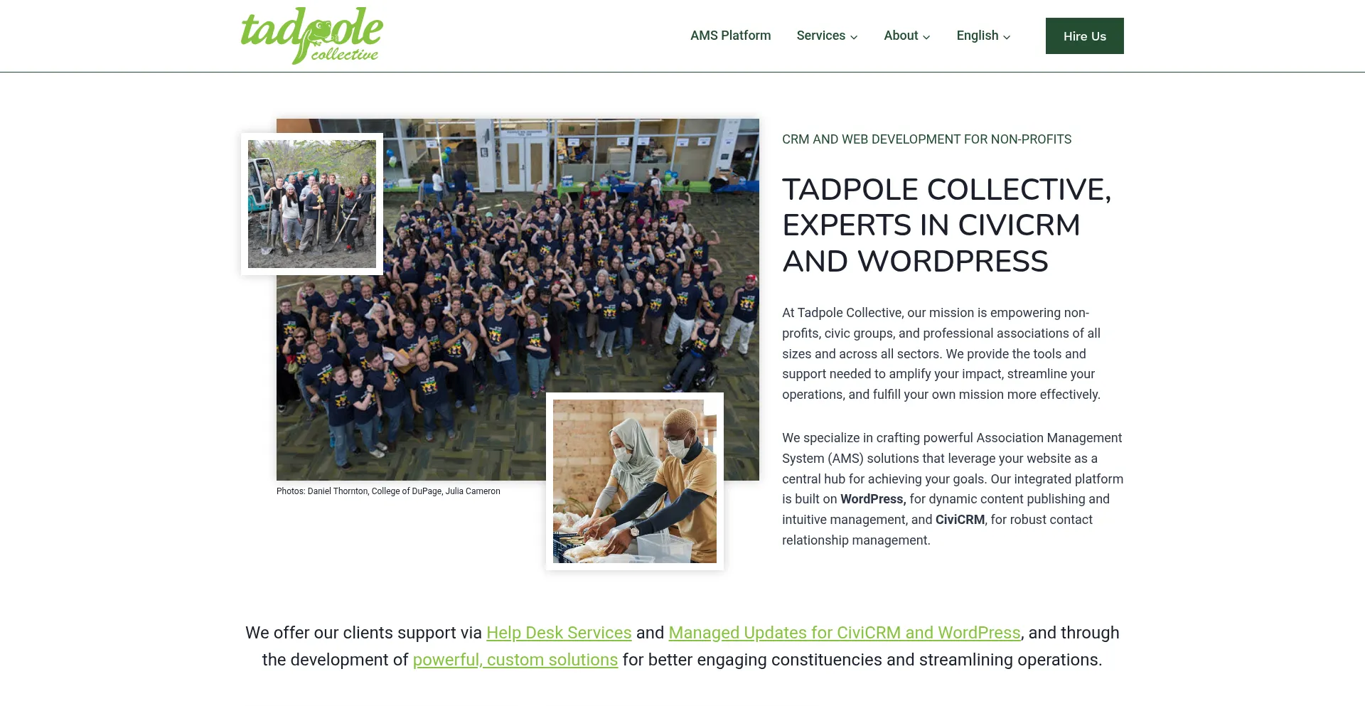 Website screenshot of Tadpole.cc