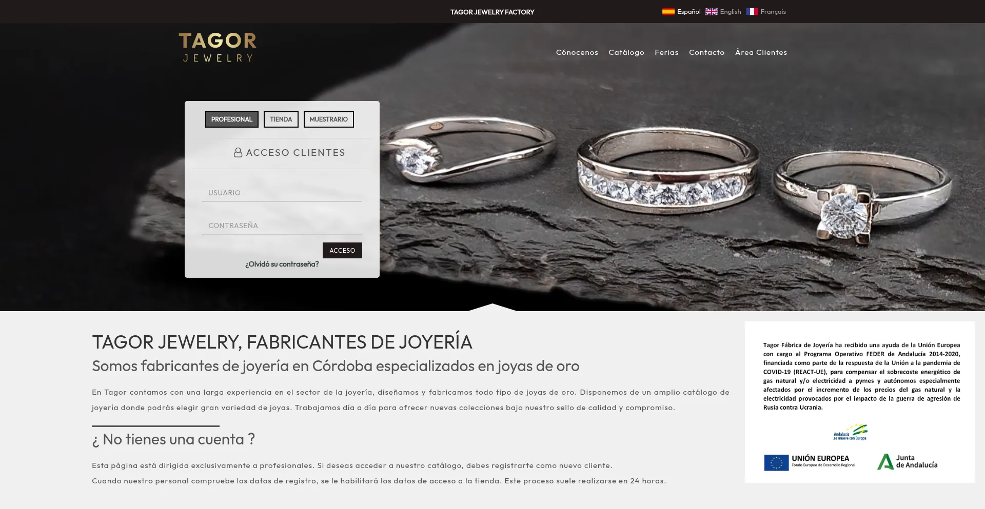 Website screenshot of Tagor.es