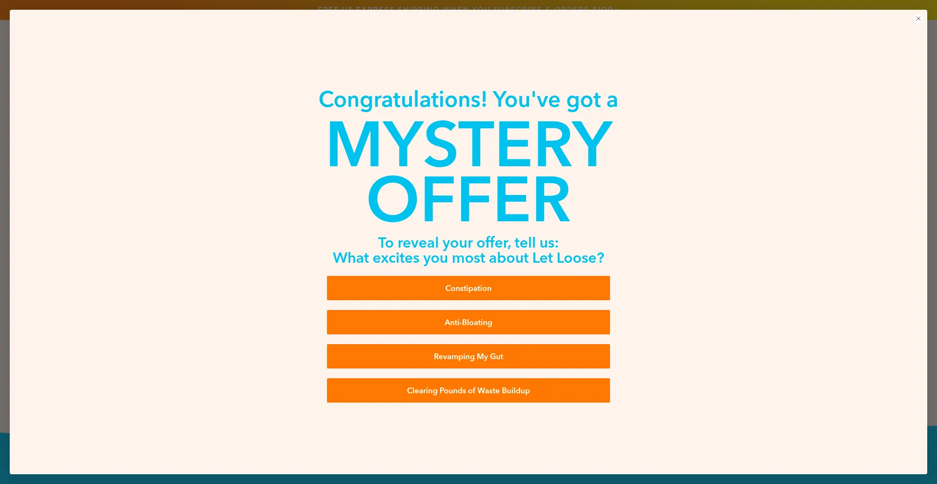 Website screenshot of Takeletloose.com