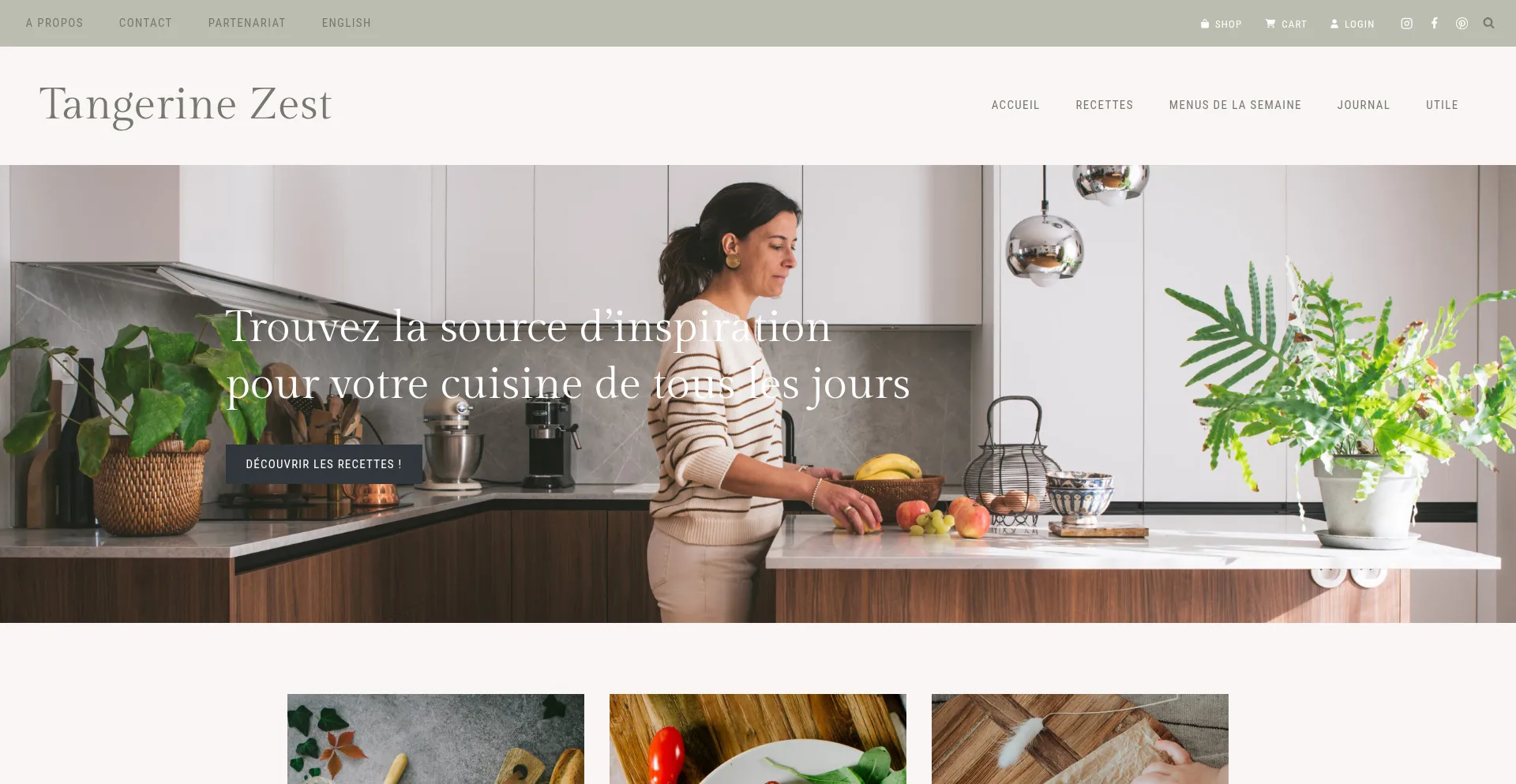 Website screenshot of Tangerinezest.com