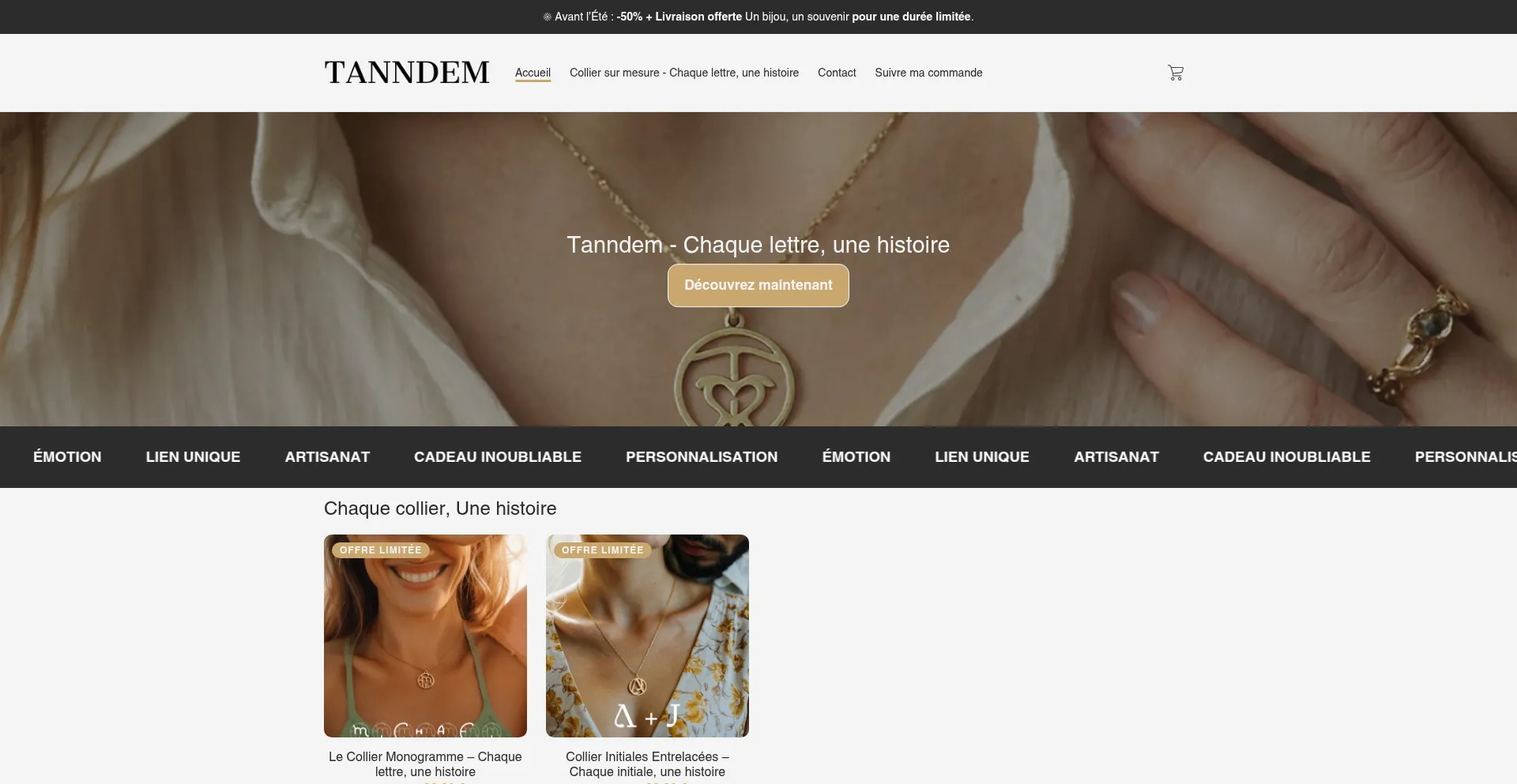 Website screenshot of Tanndem.com
