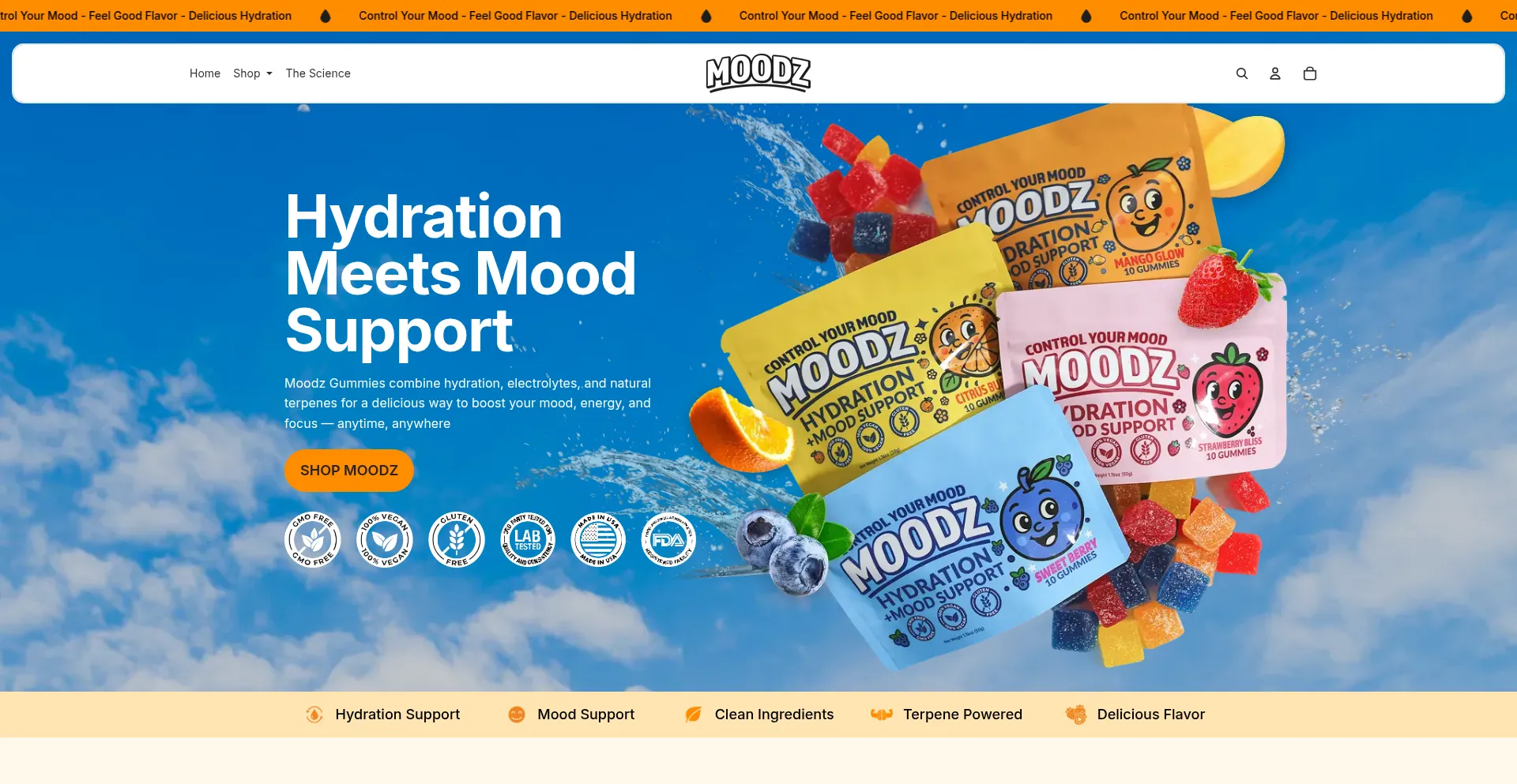 Tastemoodz.com