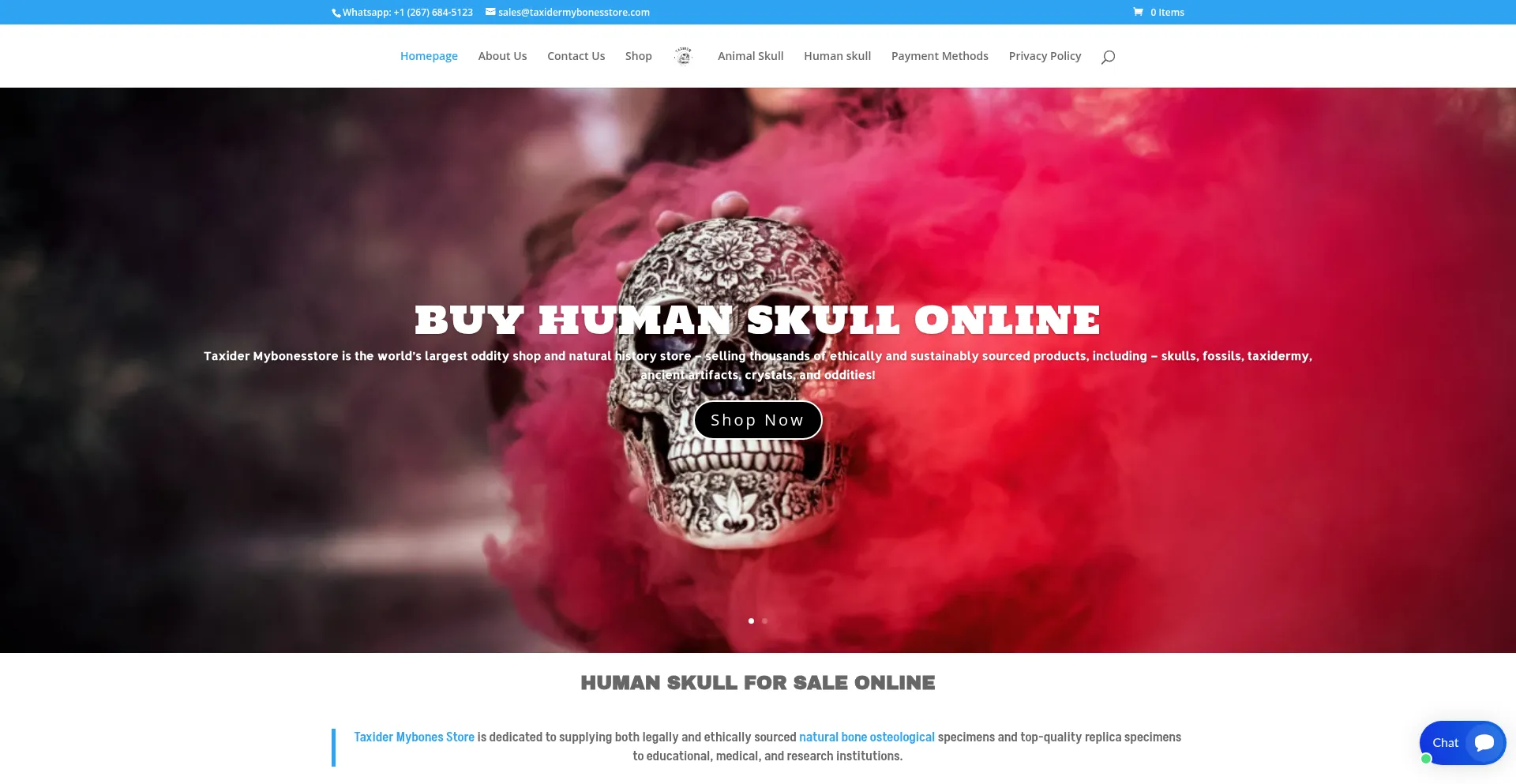Website screenshot of Taxidermybonesstore.com