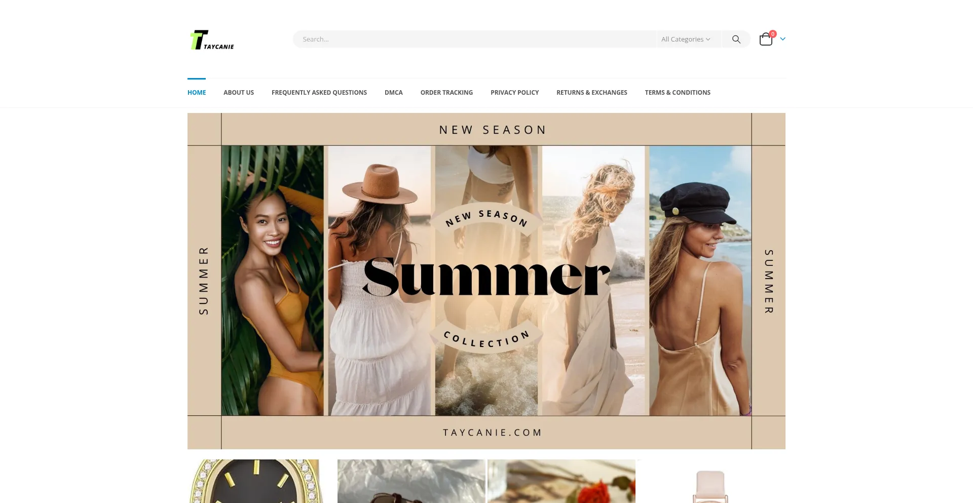 Website screenshot of Taycanie.com
