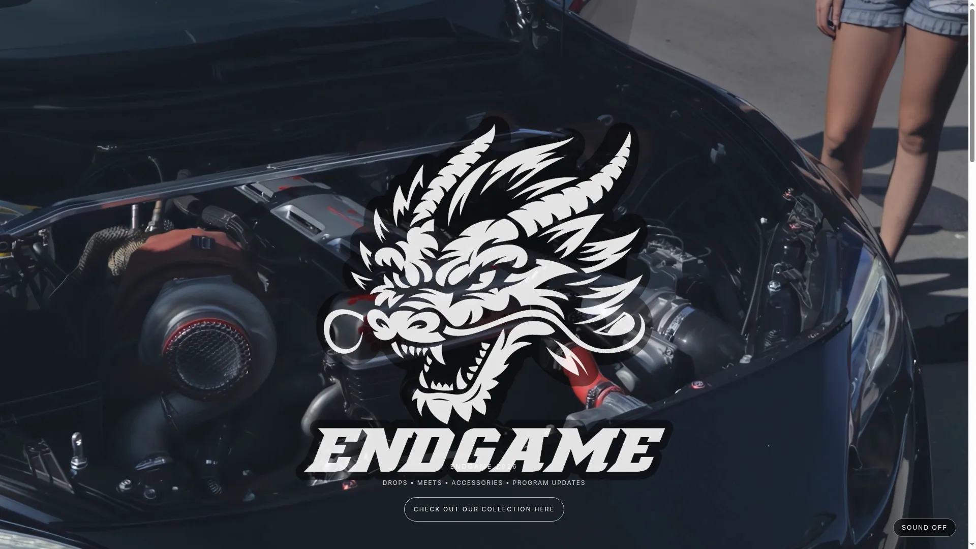 Teamendgame.co
