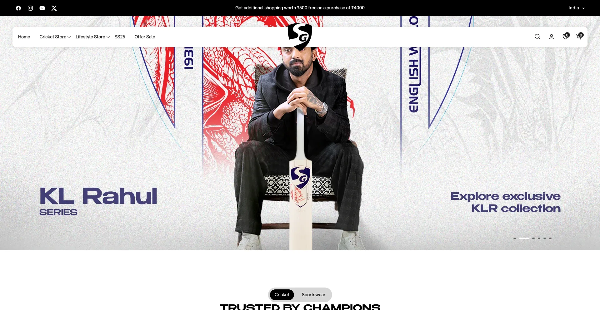 Website screenshot of Teamsg.in
