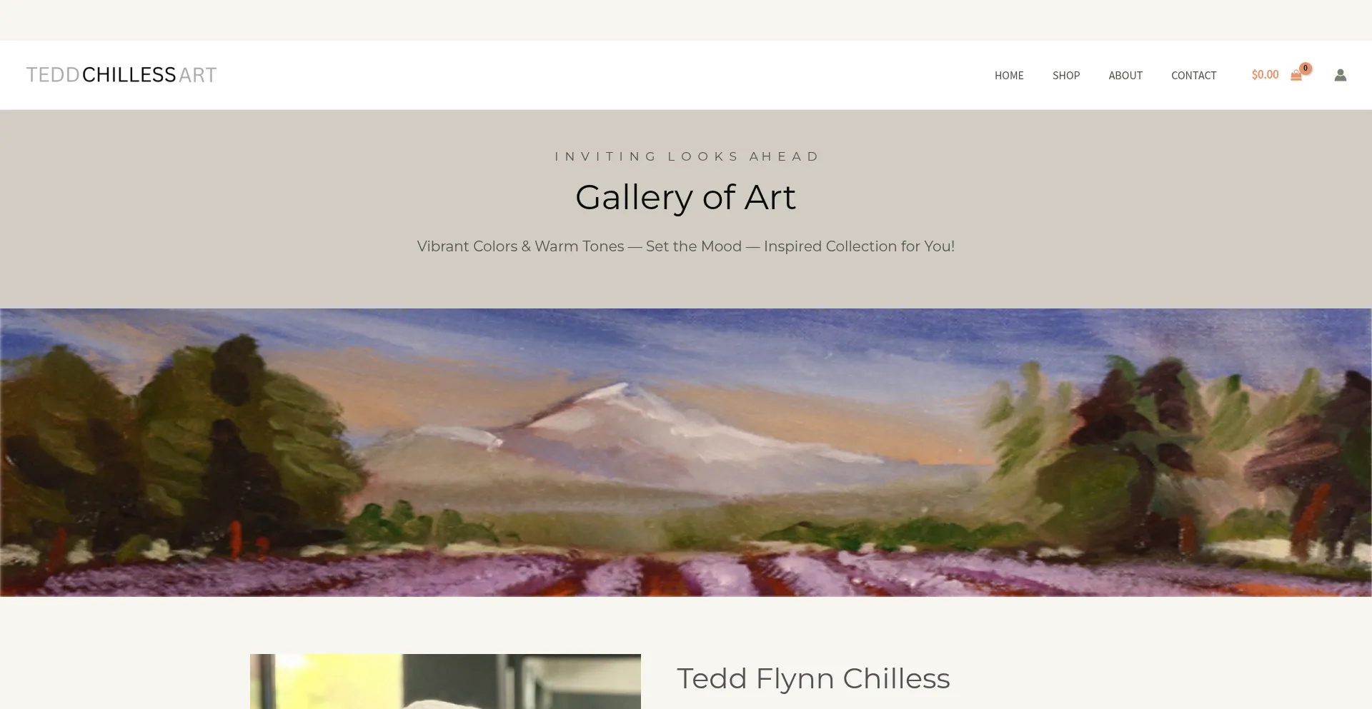 Website screenshot of Teddchilless.com