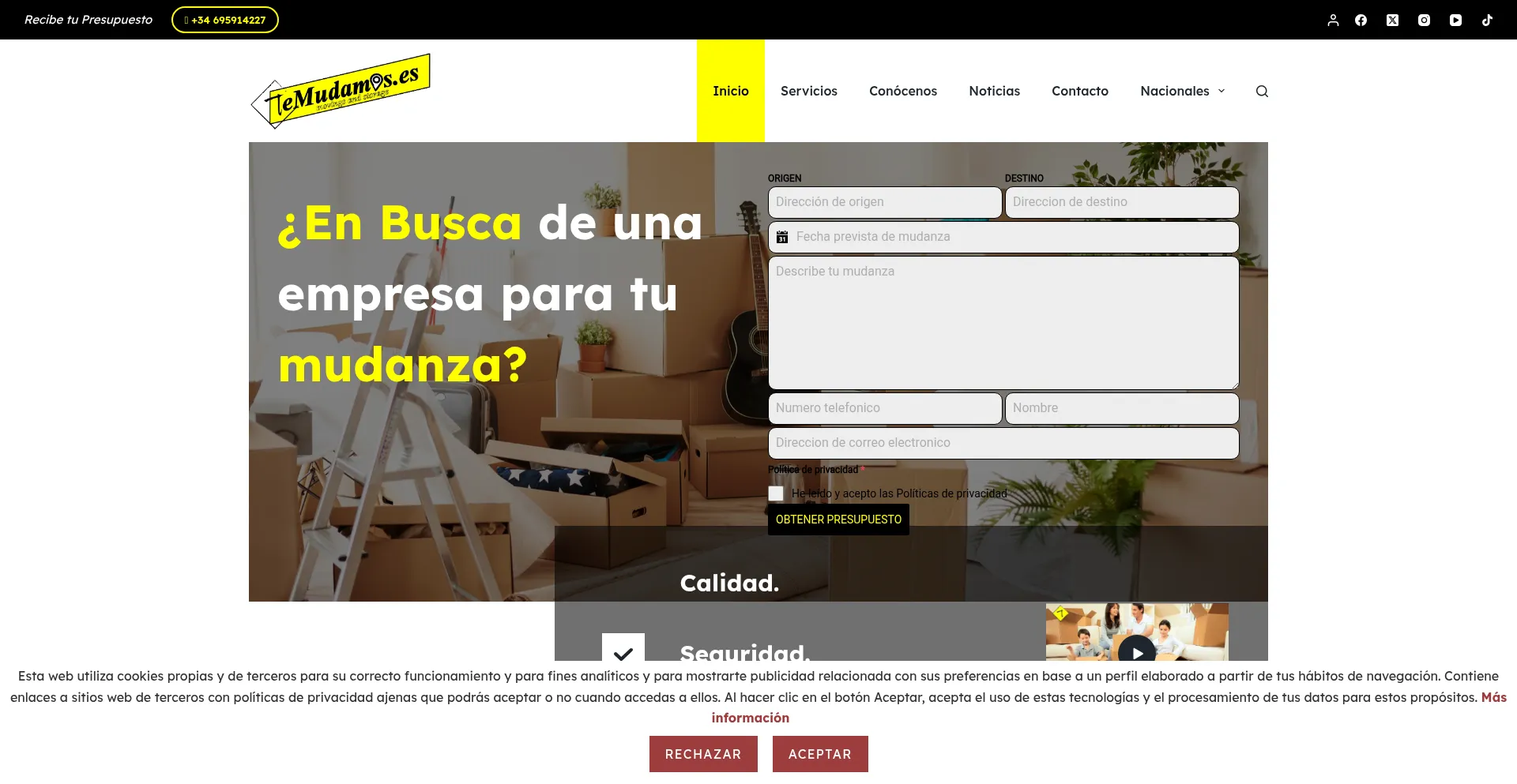 Website screenshot of Temudamos.es