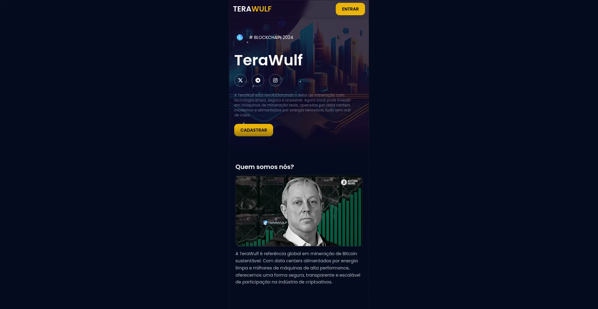 Website screenshot of Terawulf.lat