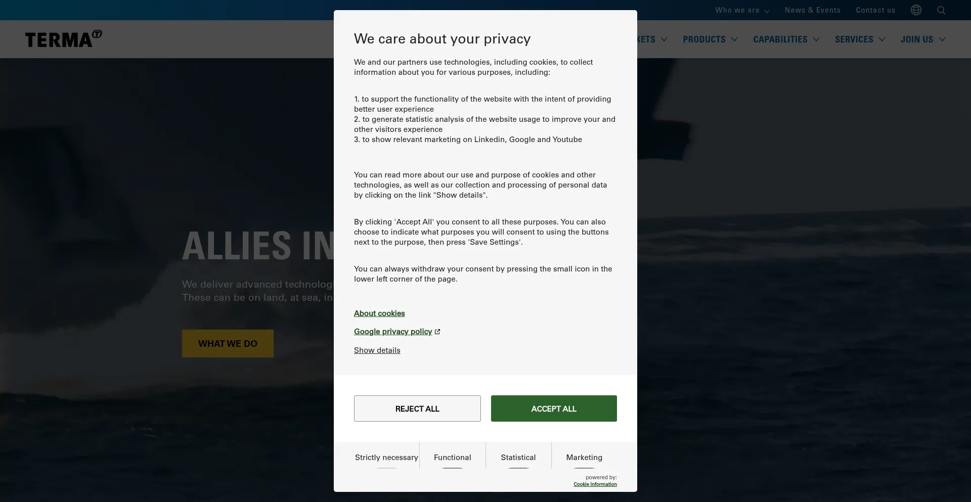Website screenshot of Terma.com