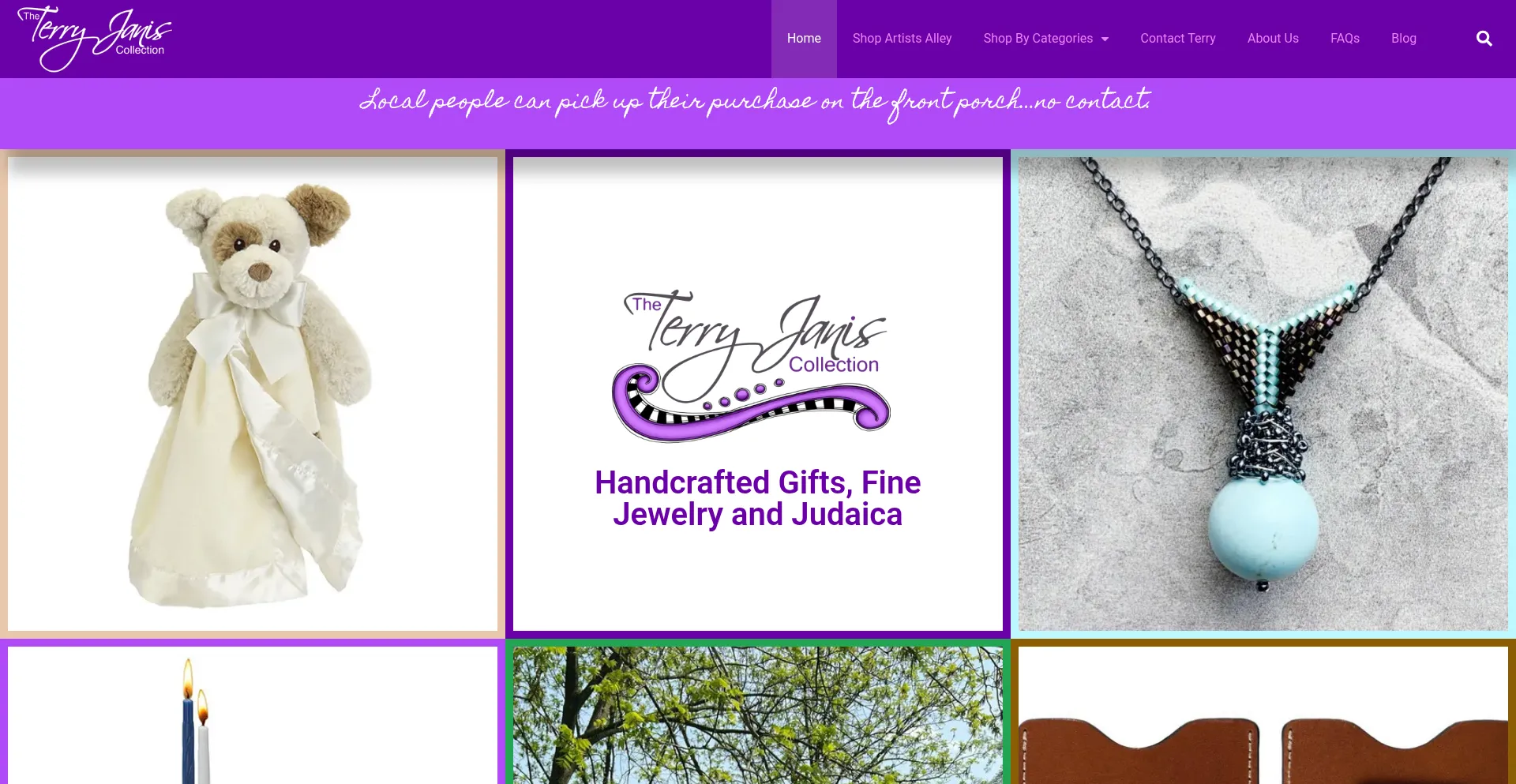 Website screenshot of Terryjanis.com