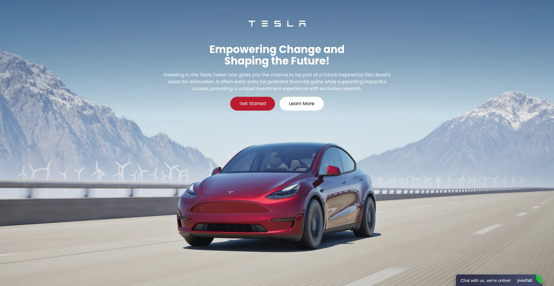 Website screenshot of Tesglobalcapital.xyz