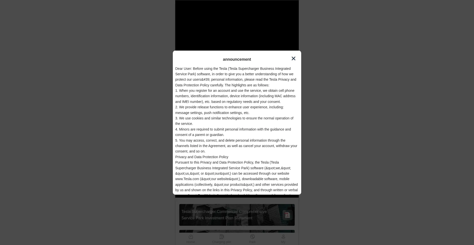 Website screenshot of Teslacharging.online