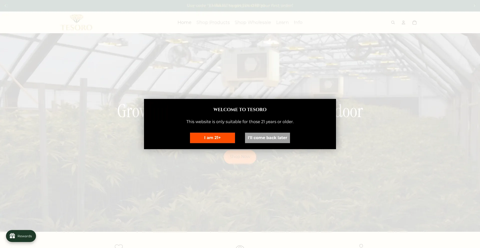 Tesorohemp.com