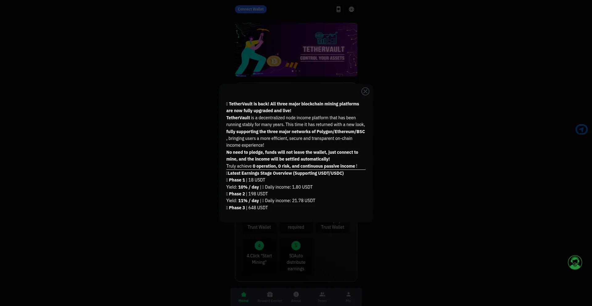 Website screenshot of Tethervault.top