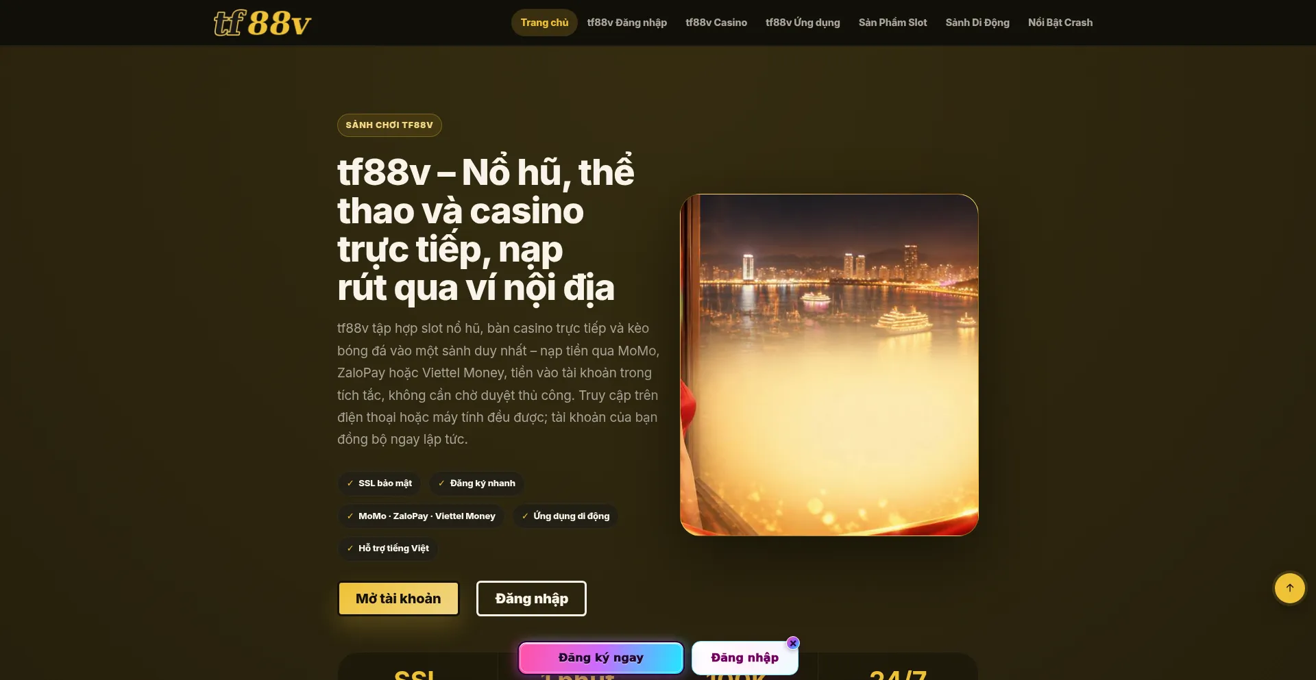 Tf88v.pro