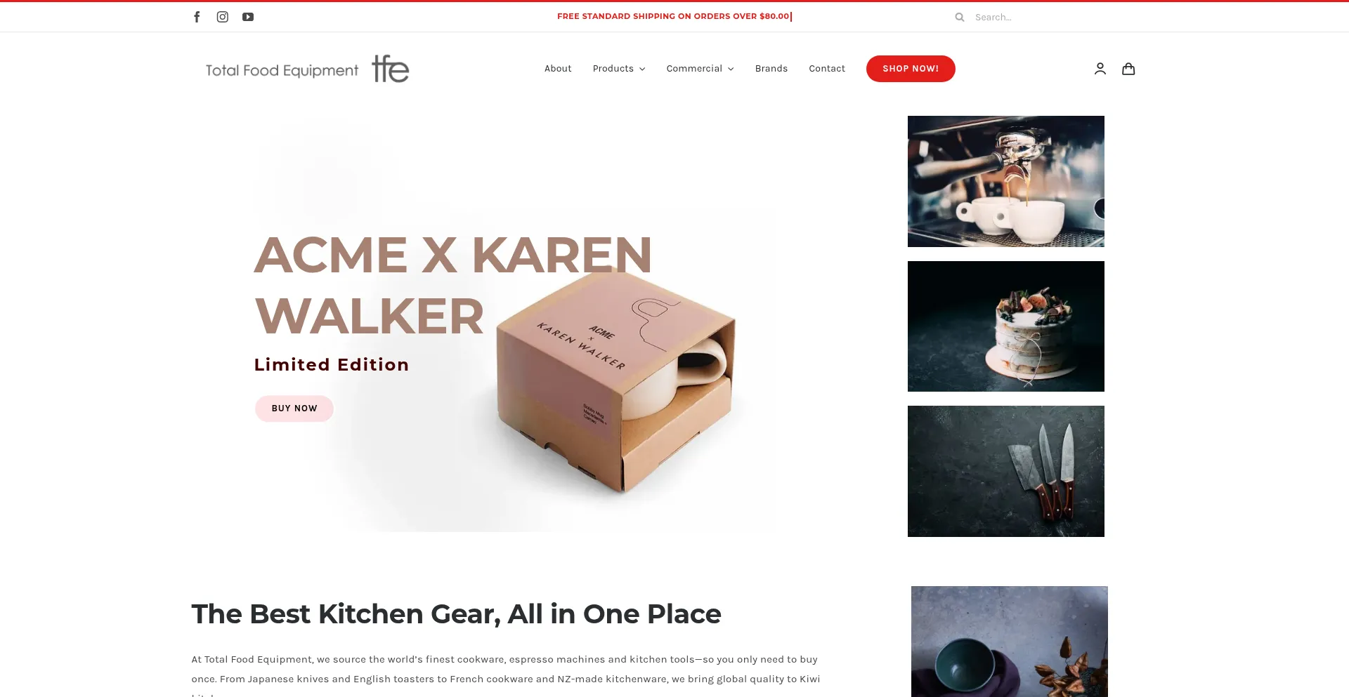 Website screenshot of Tfe.co.nz