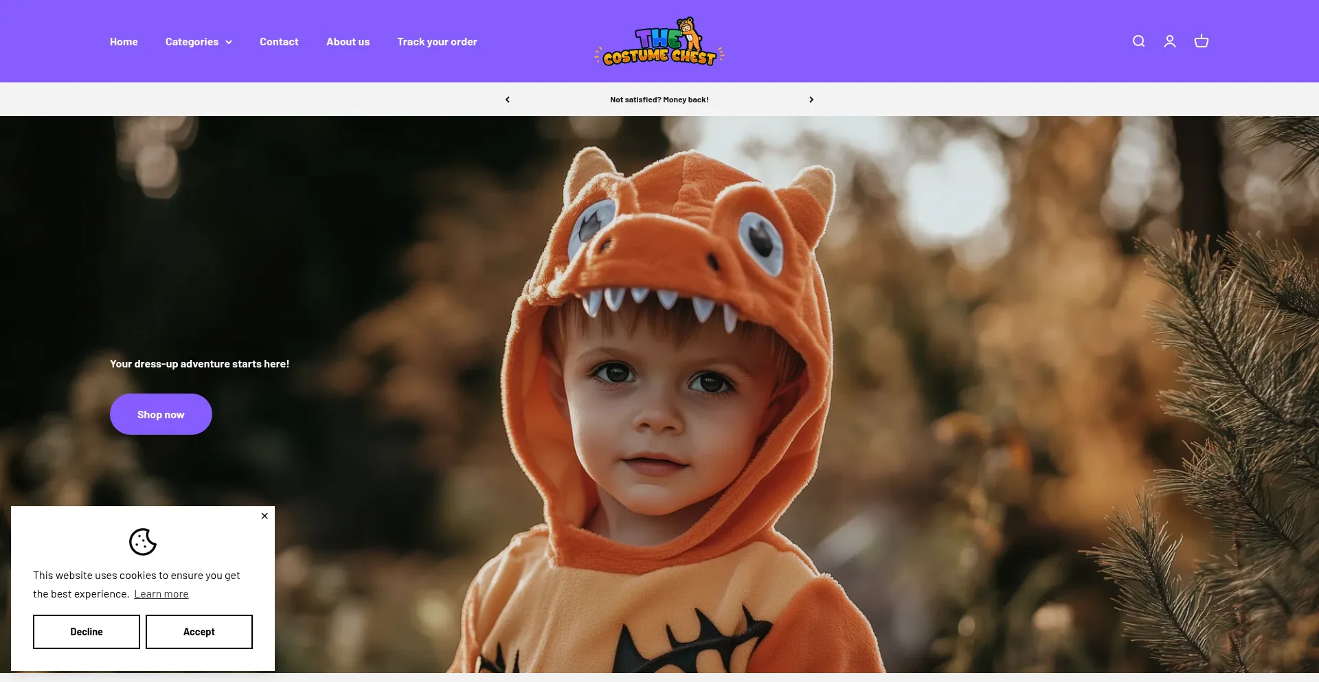 The-costume-chest.com