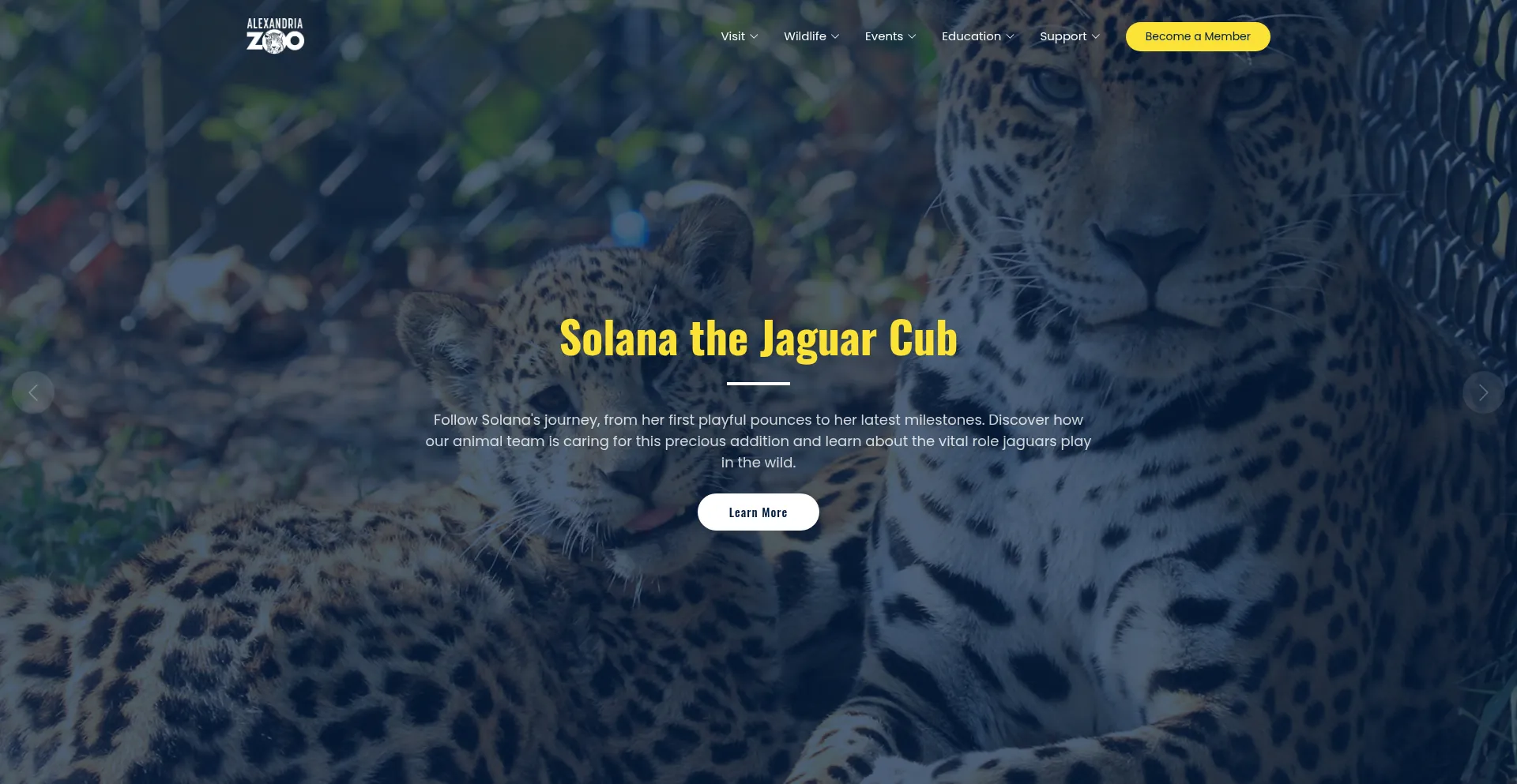 Thealexandriazoo.com