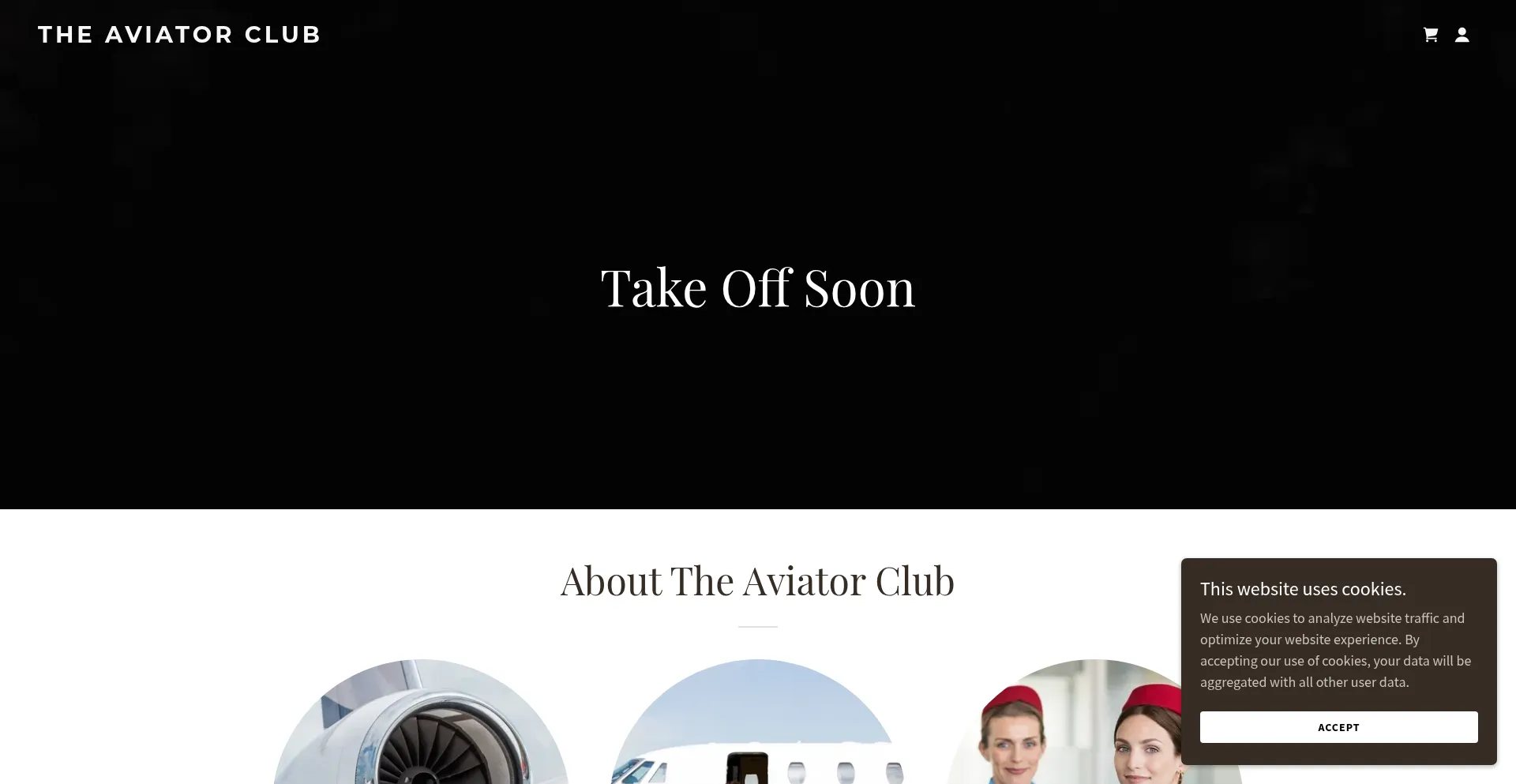 Website screenshot of Theaviator.club