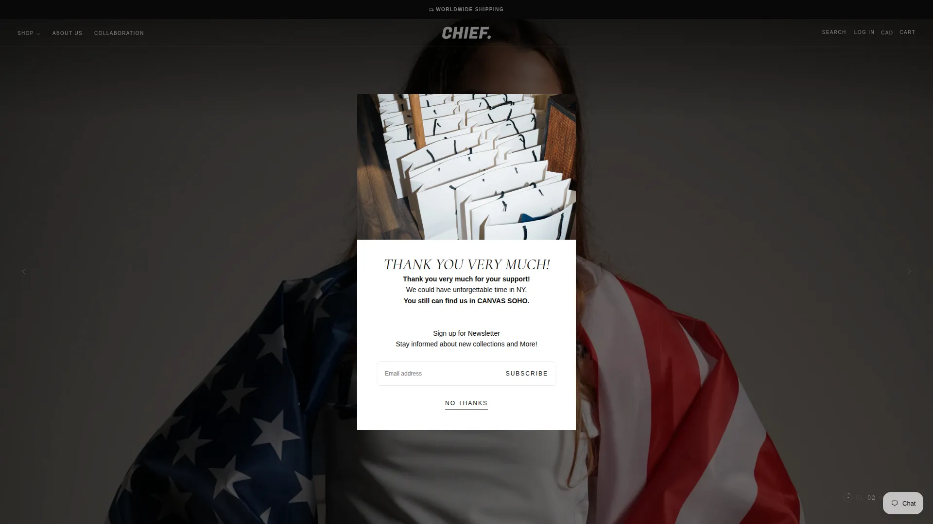 Thechiefbrand.com