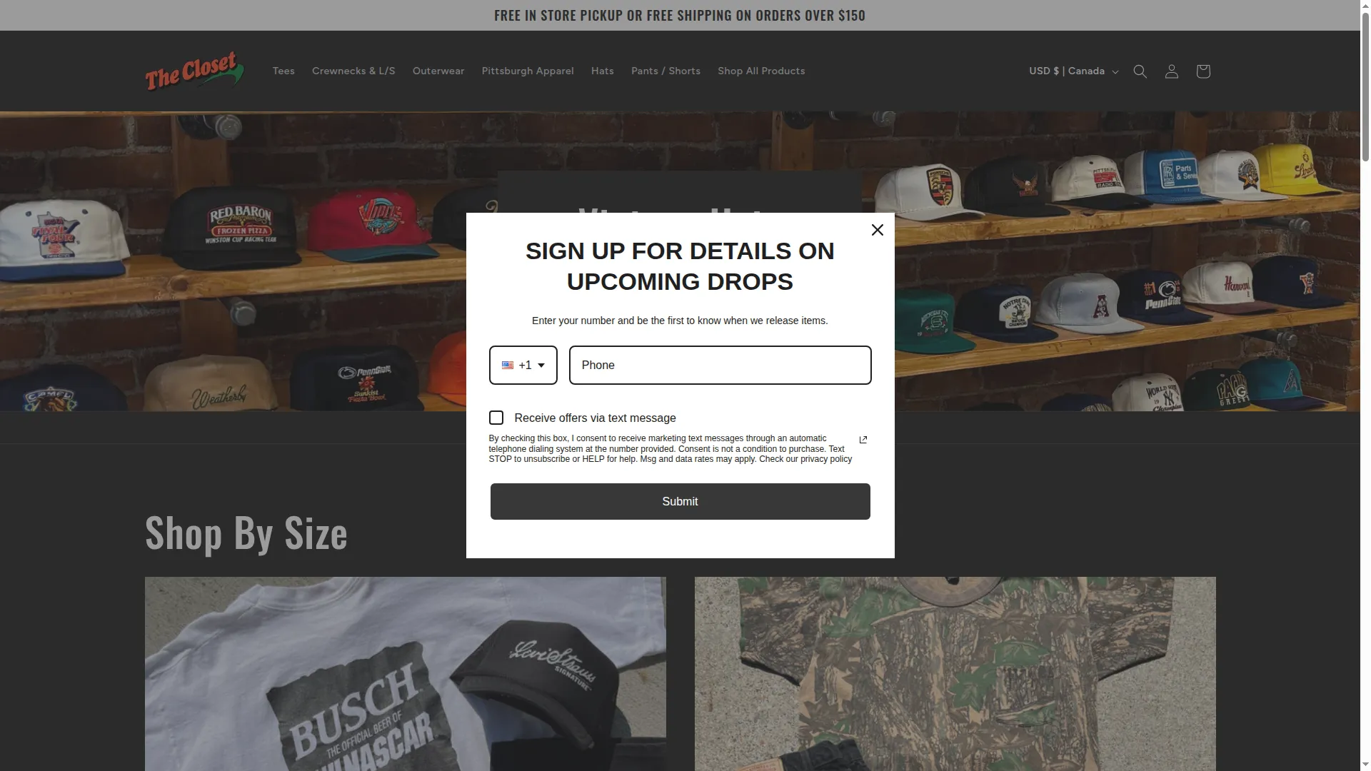 Theclosetpgh.com