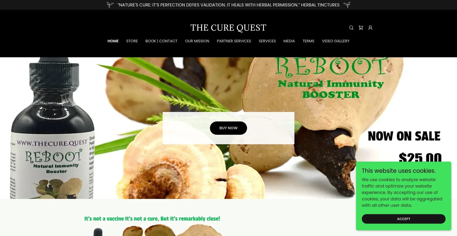 Website screenshot of Thecure.quest