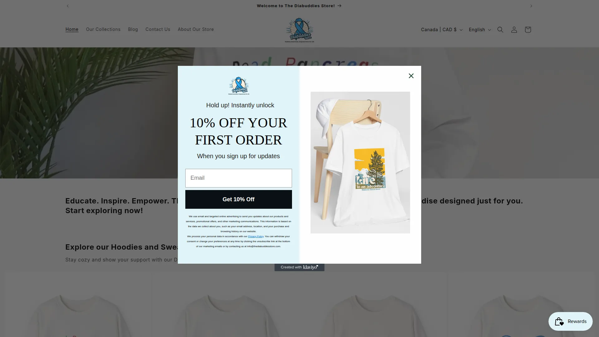 Thediabuddiesstore.com