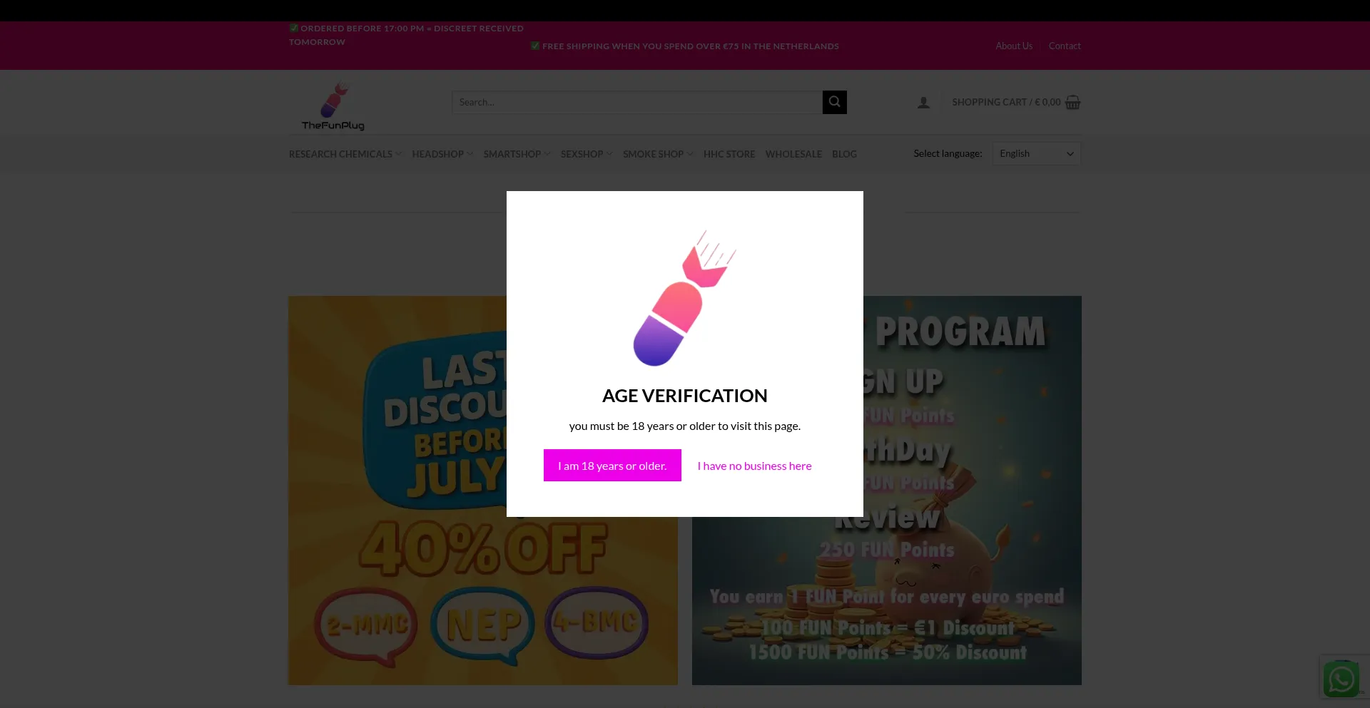 Website screenshot of Thefunplug.nl